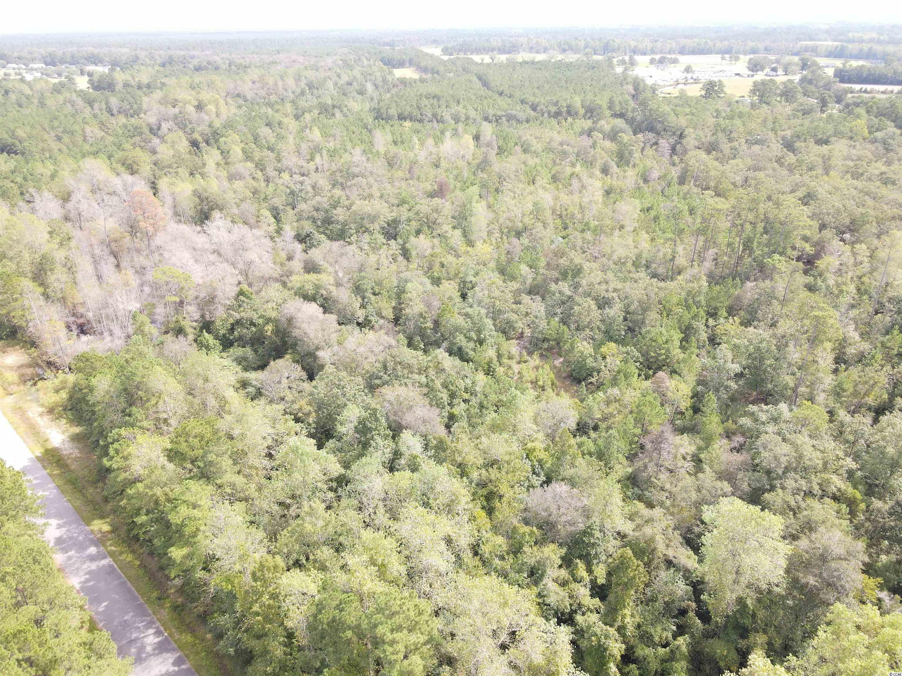 Lot 6 Rainbow Dr., Loris, South Carolina image 2