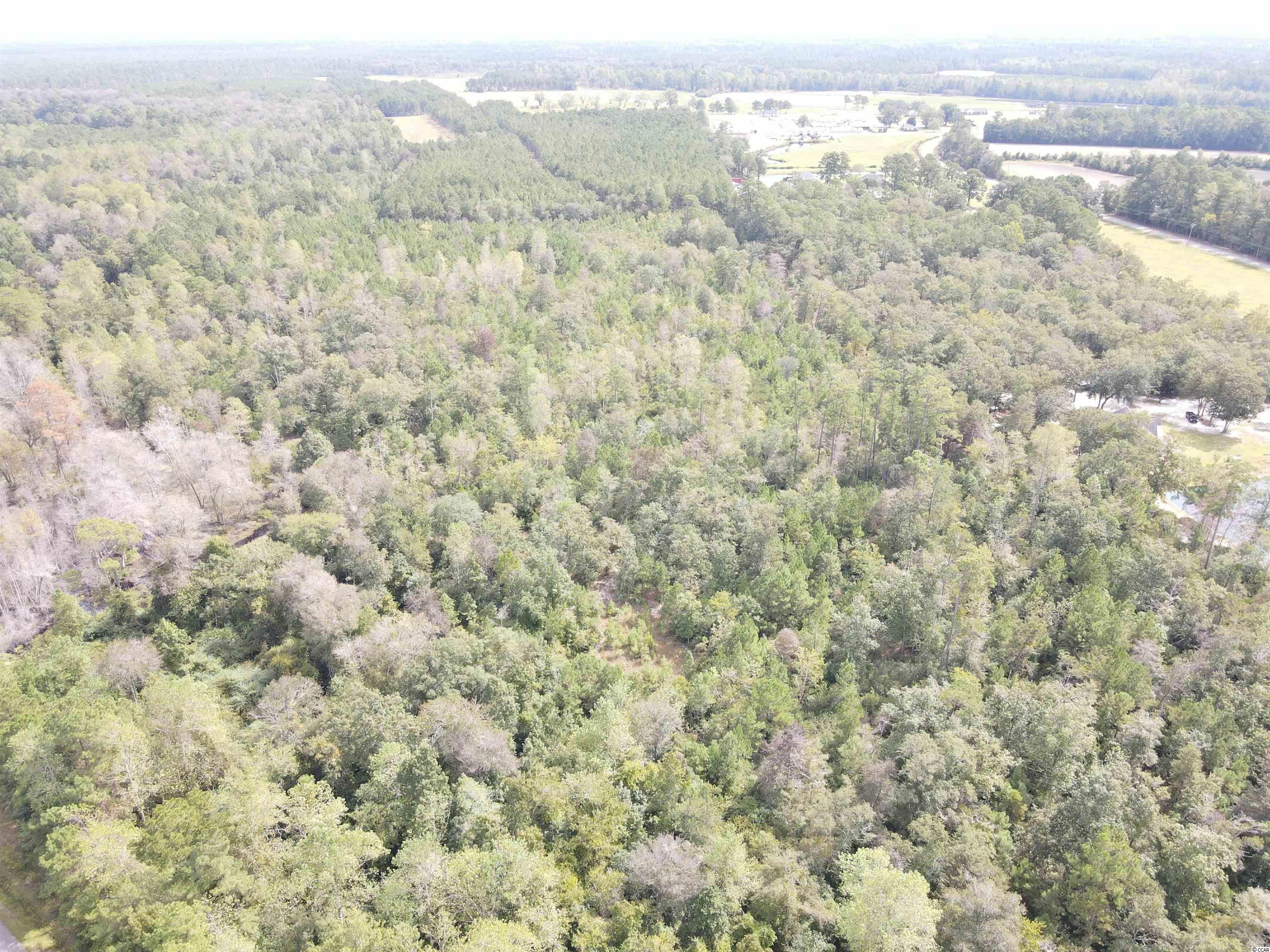 Lot 6 Rainbow Dr., Loris, South Carolina image 3