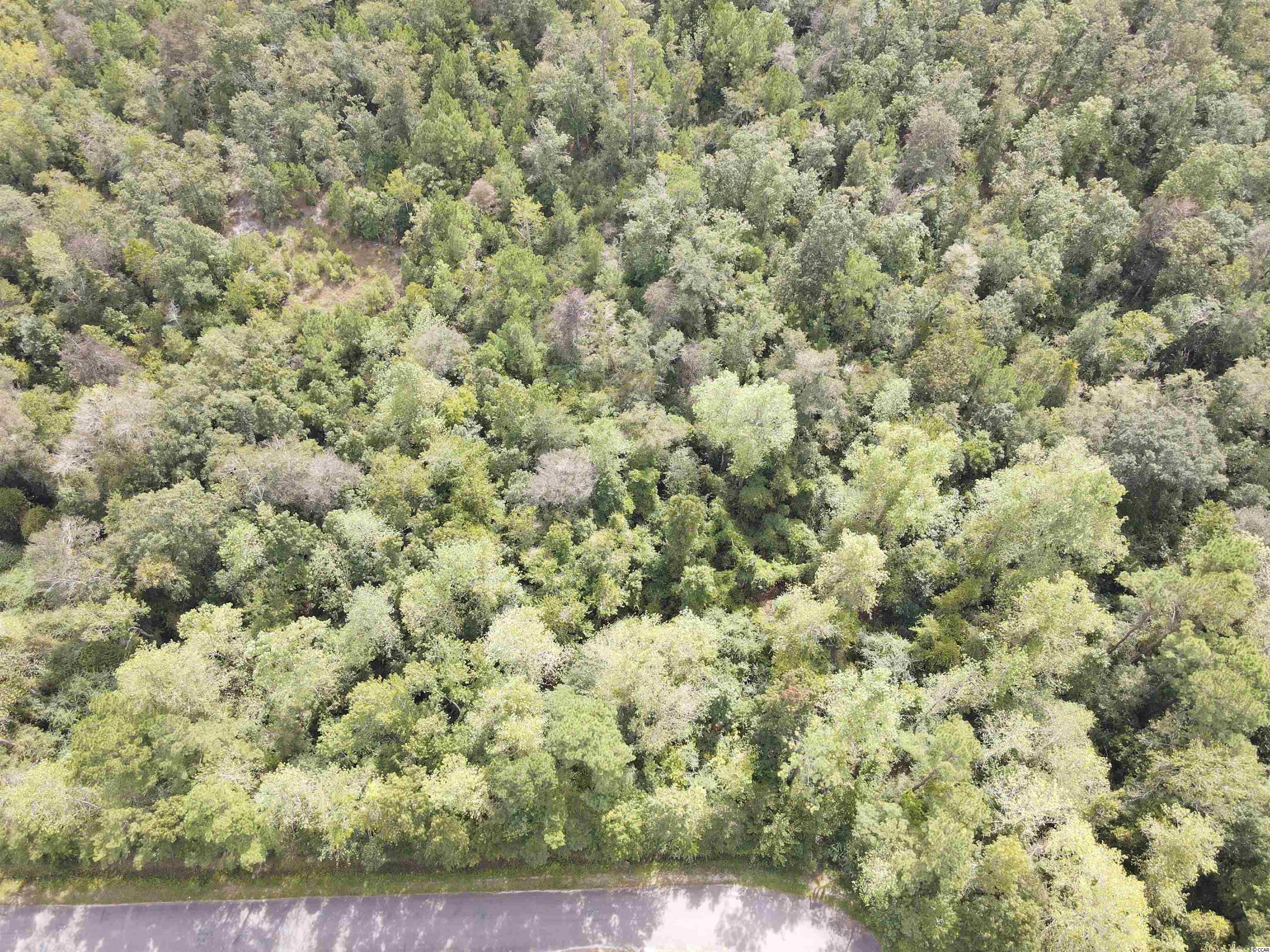 Lot 6 Rainbow Dr., Loris, South Carolina image 5