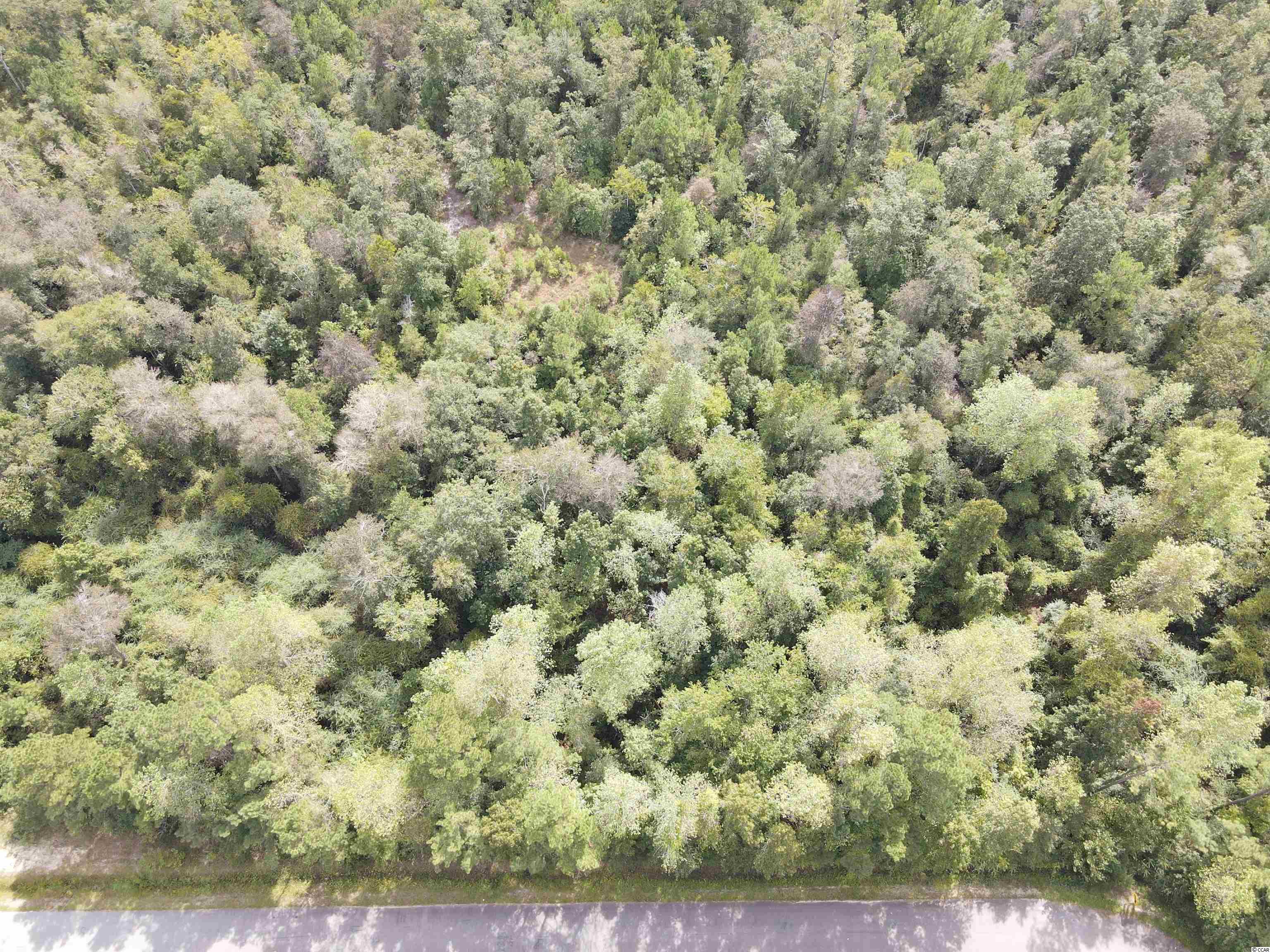 Lot 6 Rainbow Dr., Loris, South Carolina image 6