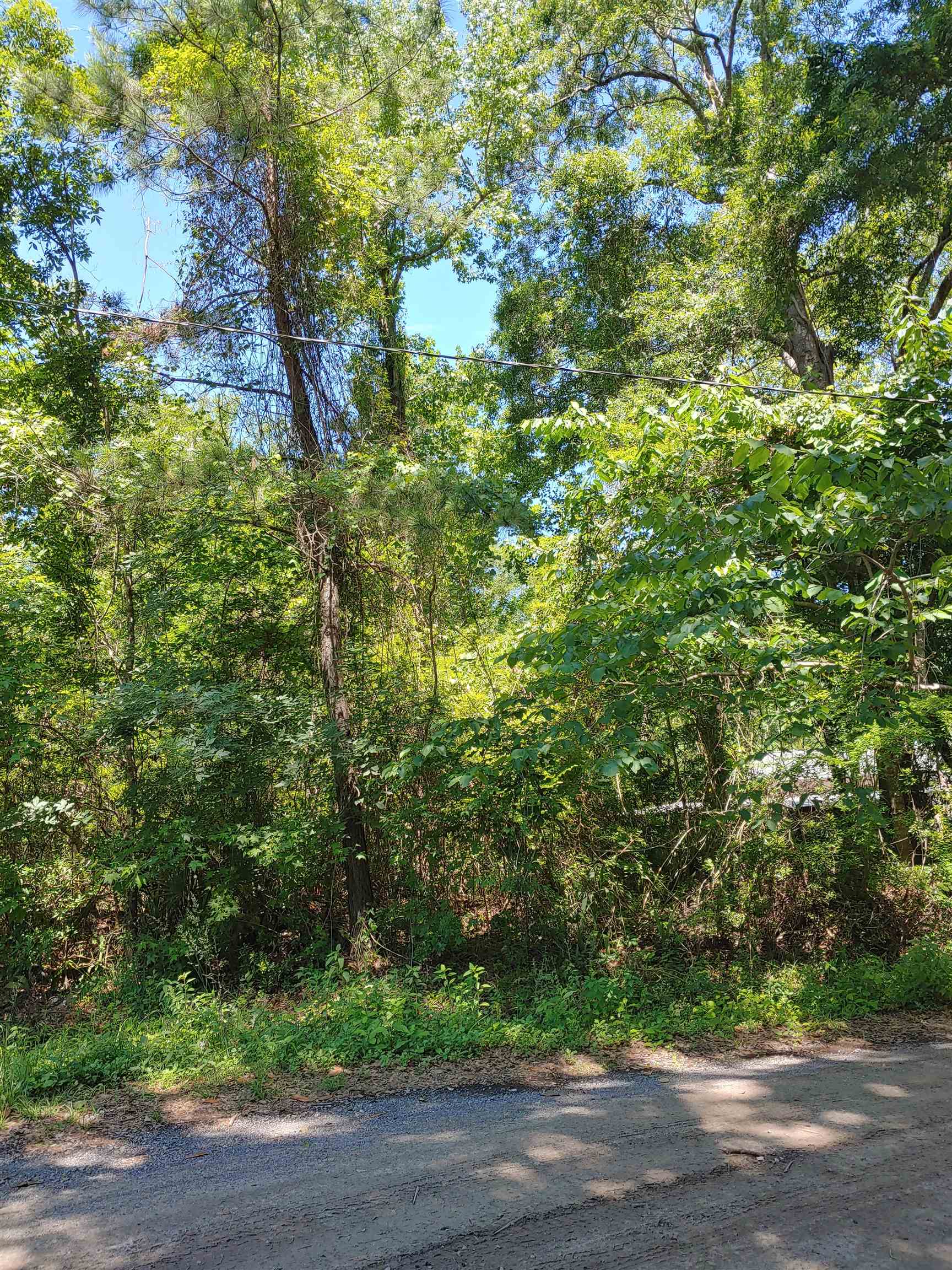 Annie Rainey Lane, Pawleys Island, South Carolina image 14