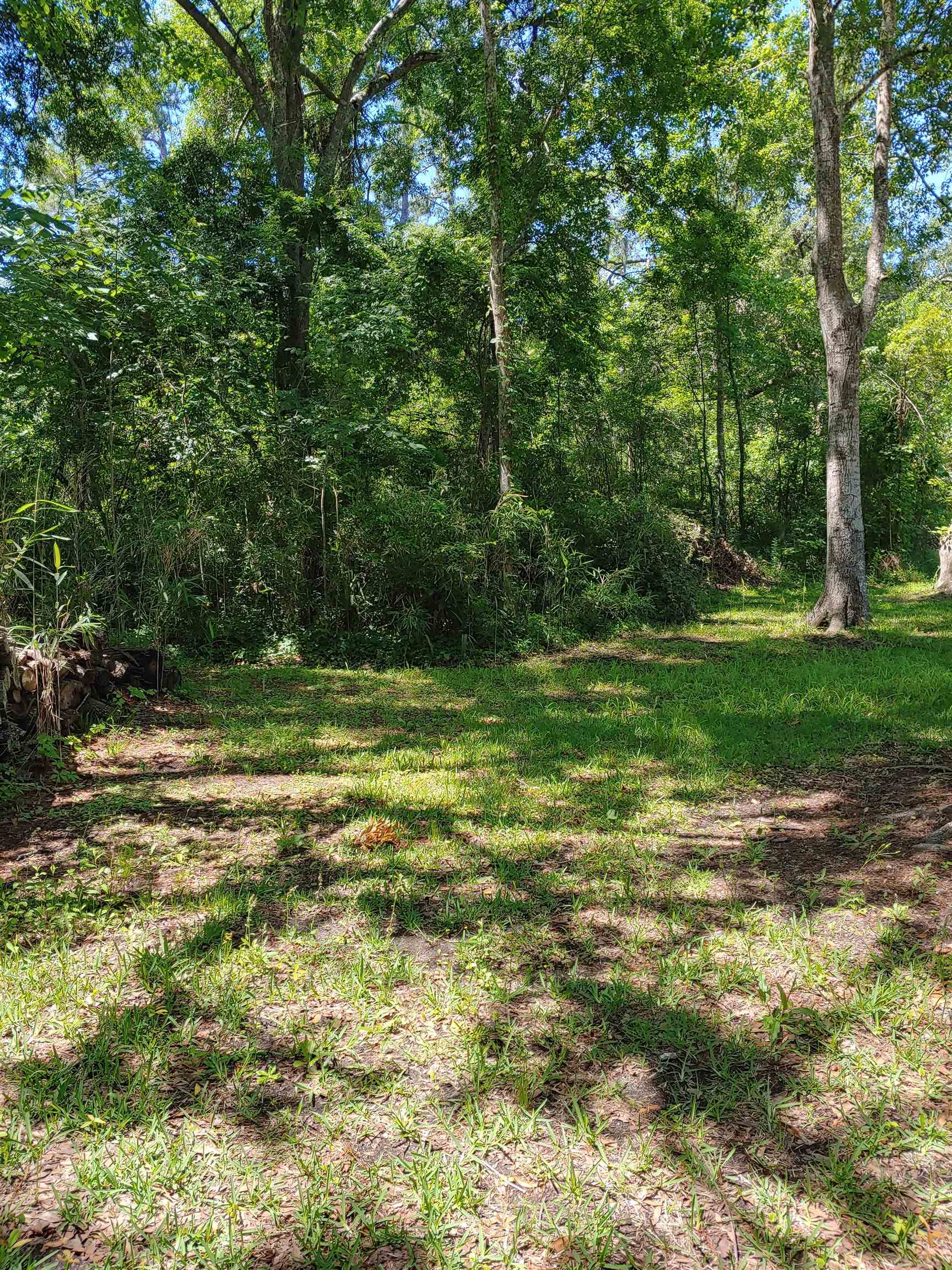 Annie Rainey Lane, Pawleys Island, South Carolina image 15