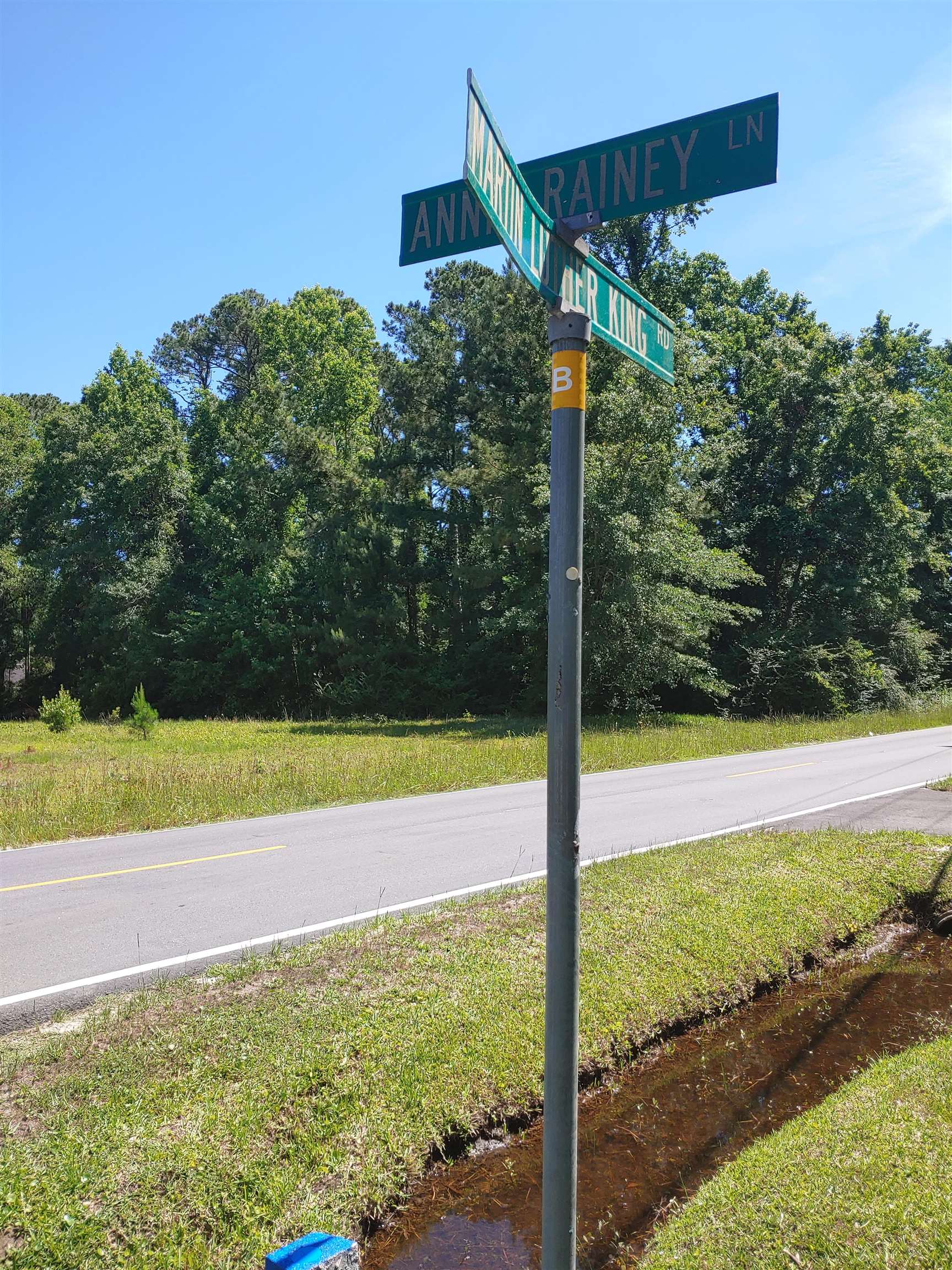 Annie Rainey Lane, Pawleys Island, South Carolina image 16