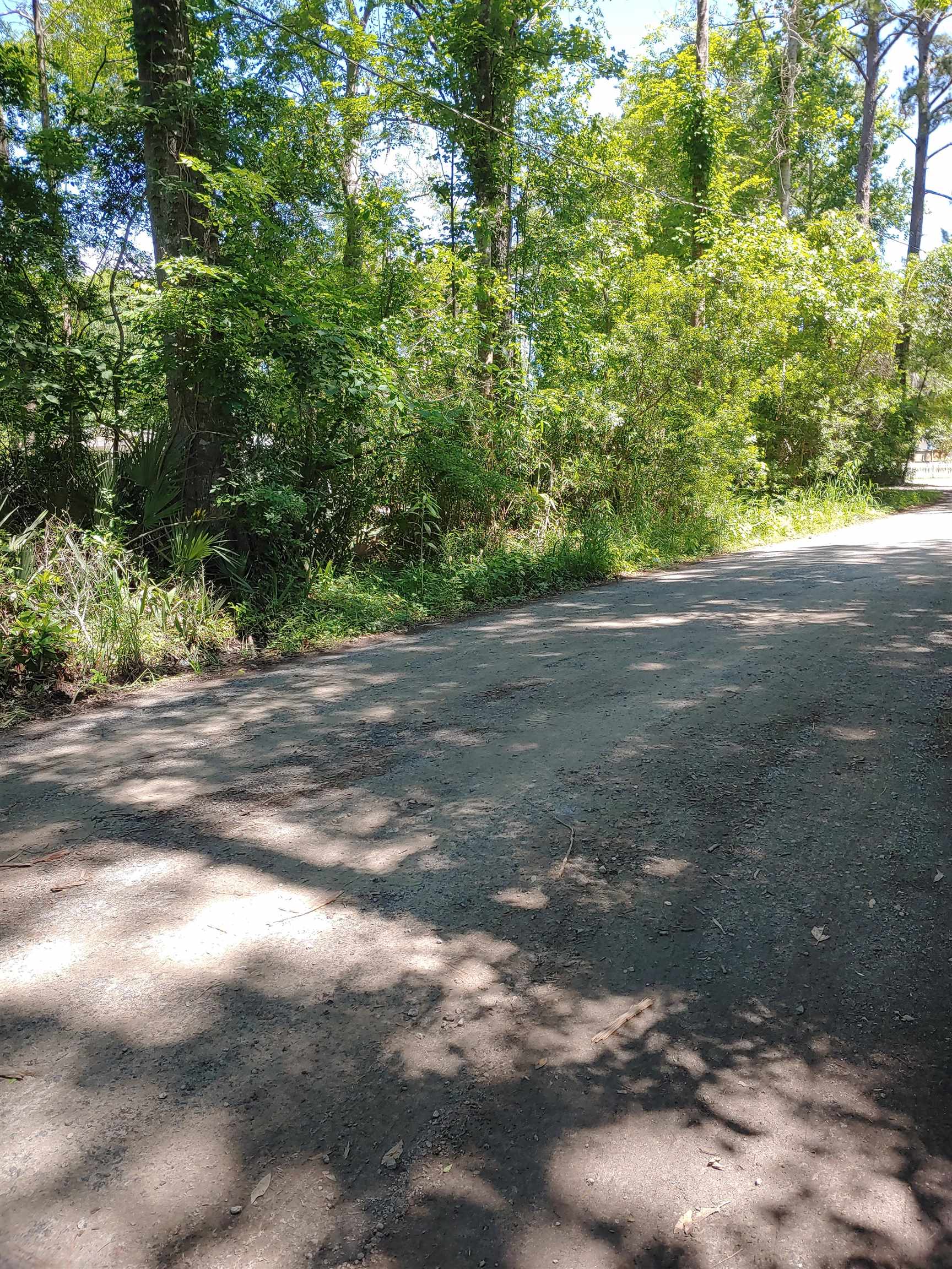 Annie Rainey Lane, Pawleys Island, South Carolina image 6