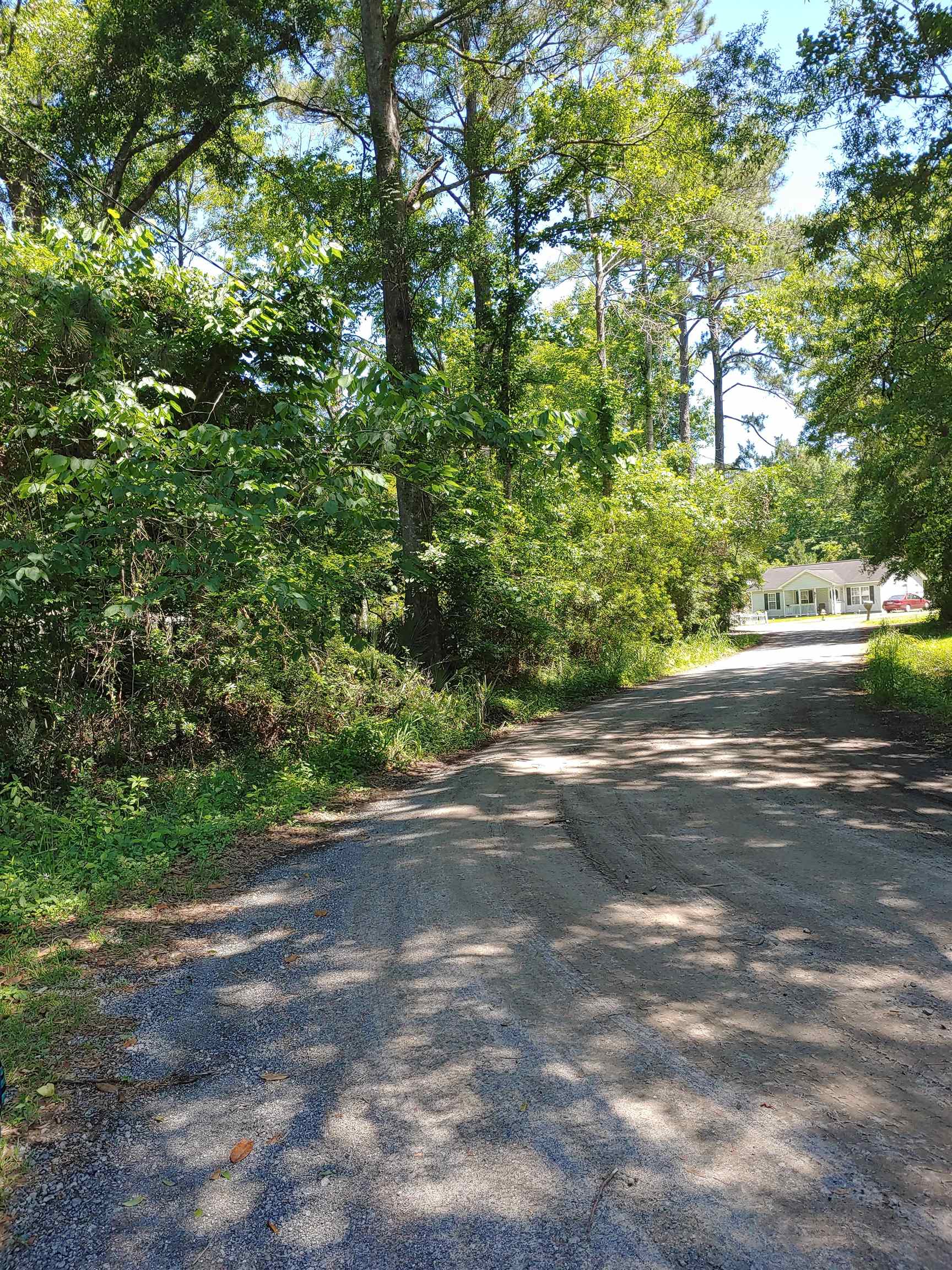 Annie Rainey Lane, Pawleys Island, South Carolina image 7