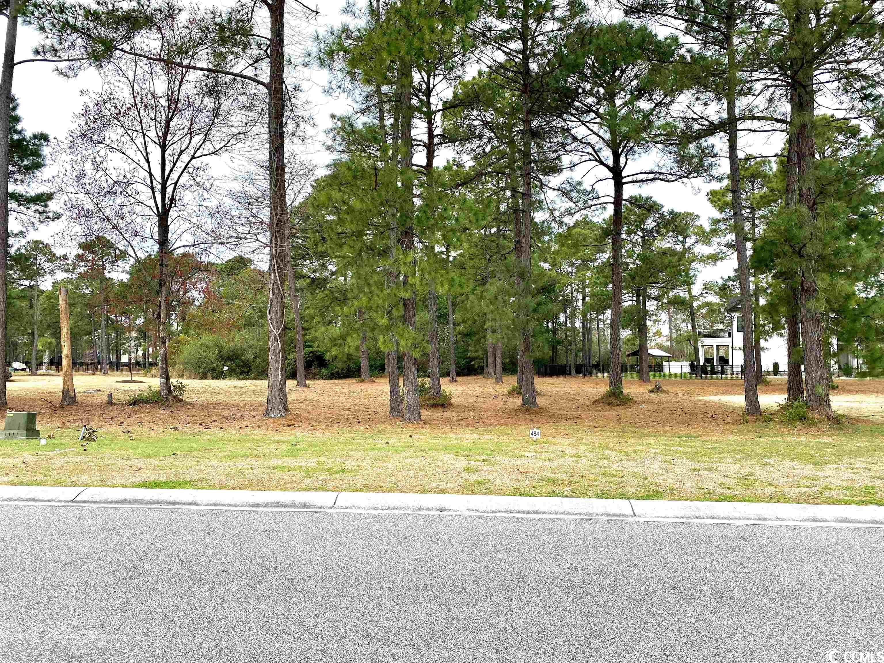 1328 Fiddlehead Way Myrtle Beach, SC 29579