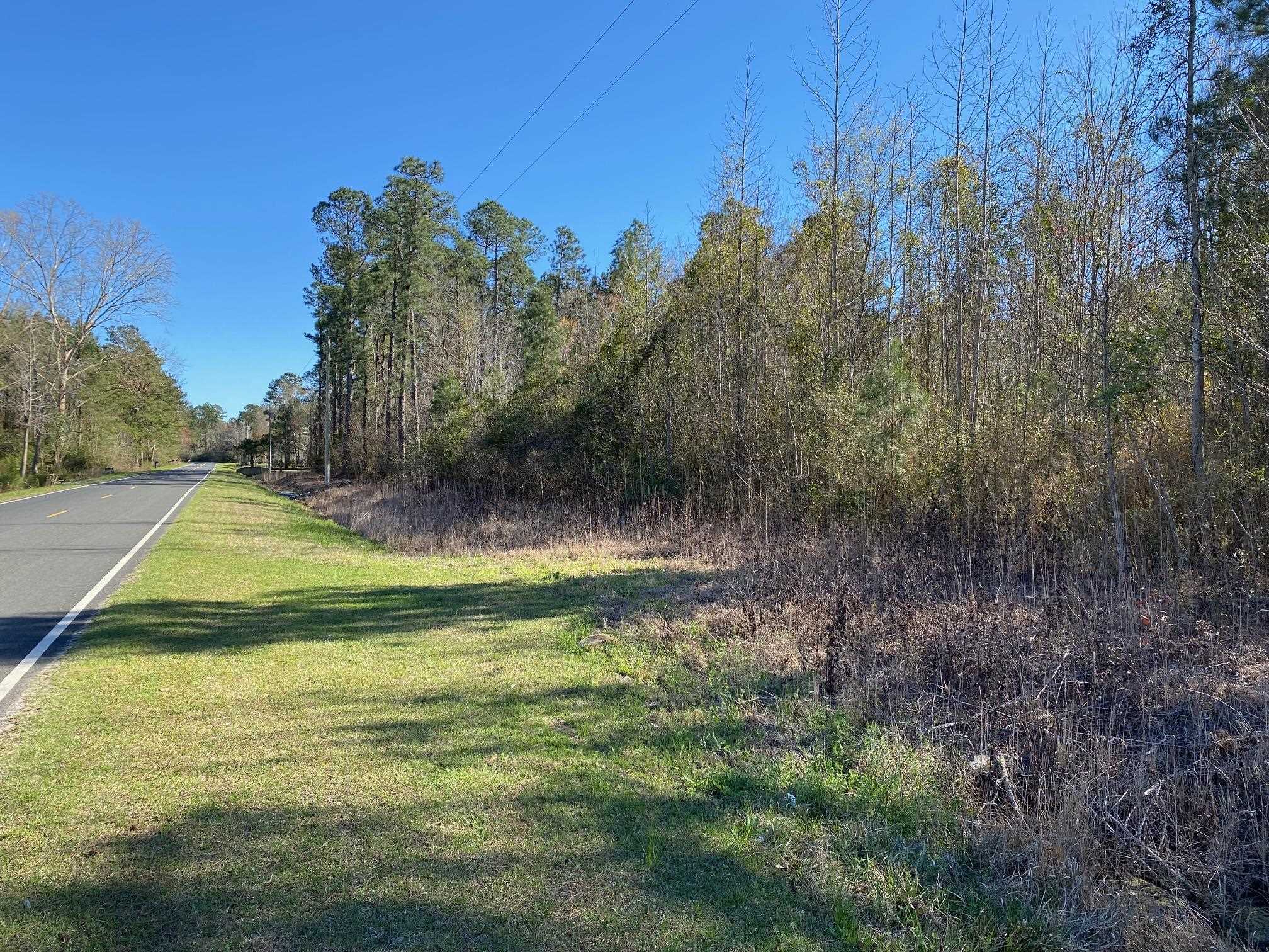 TBD Wright Rd., Loris, South Carolina image 15