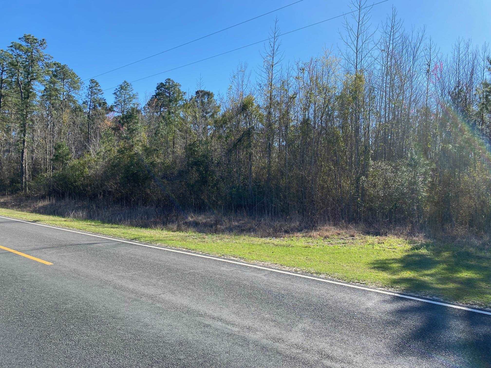 TBD Wright Rd., Loris, South Carolina image 16