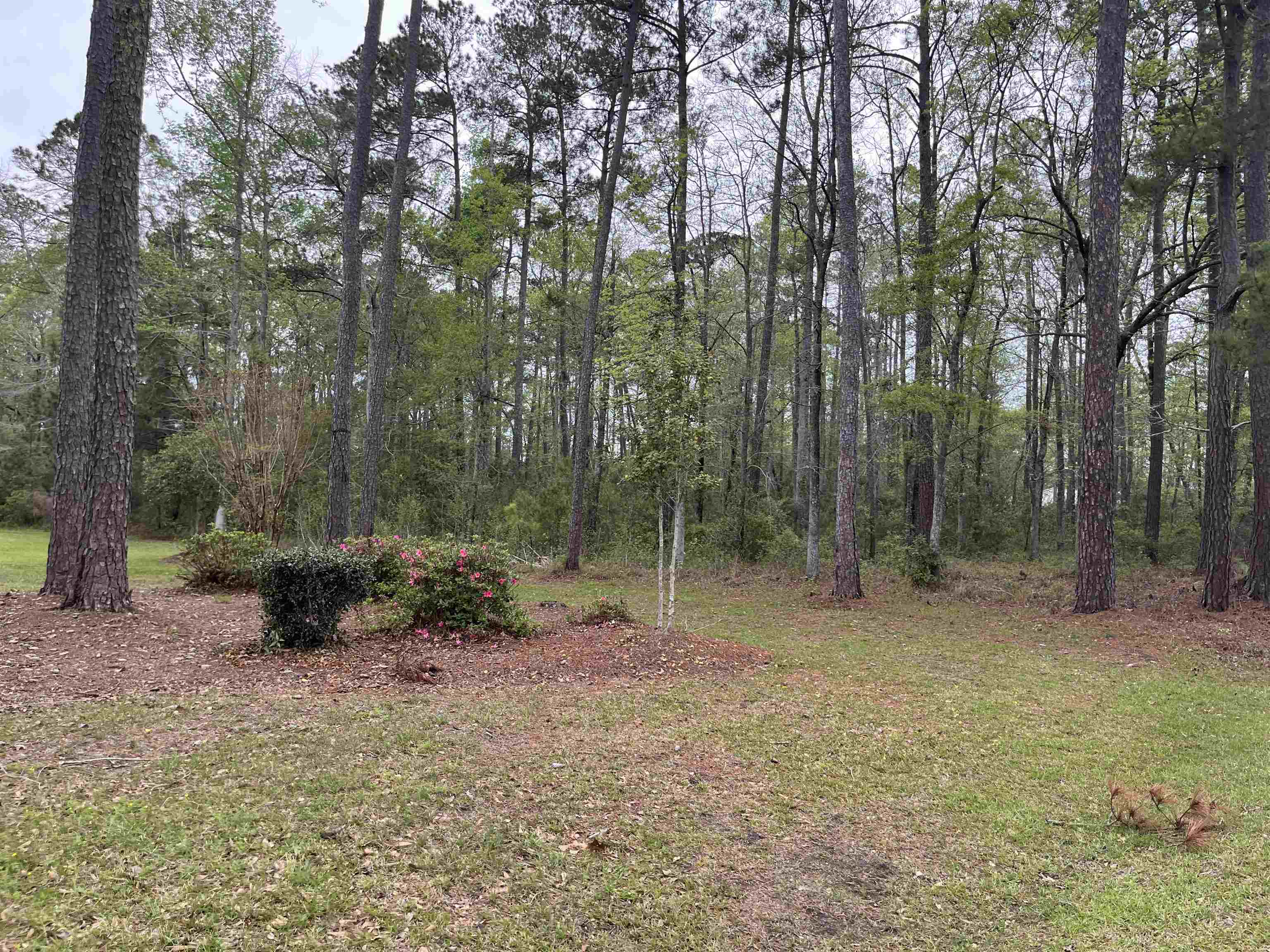 Lot 5 S Persimmon Ford Rd. Johnsonville, SC 29555