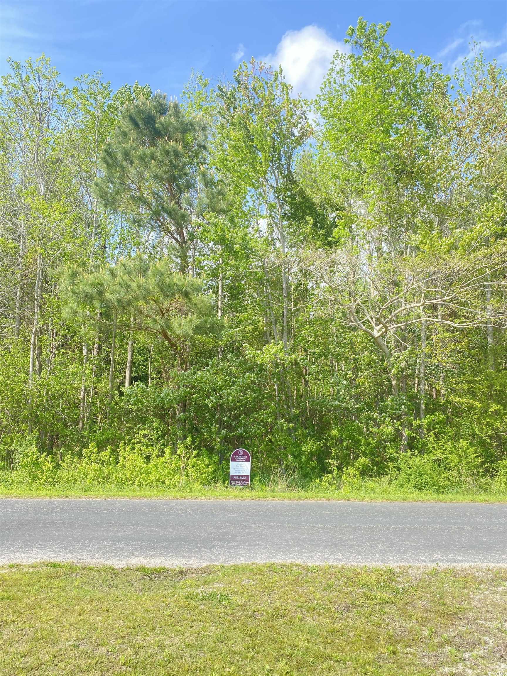 TBD Highway 762 Loris, SC 29569