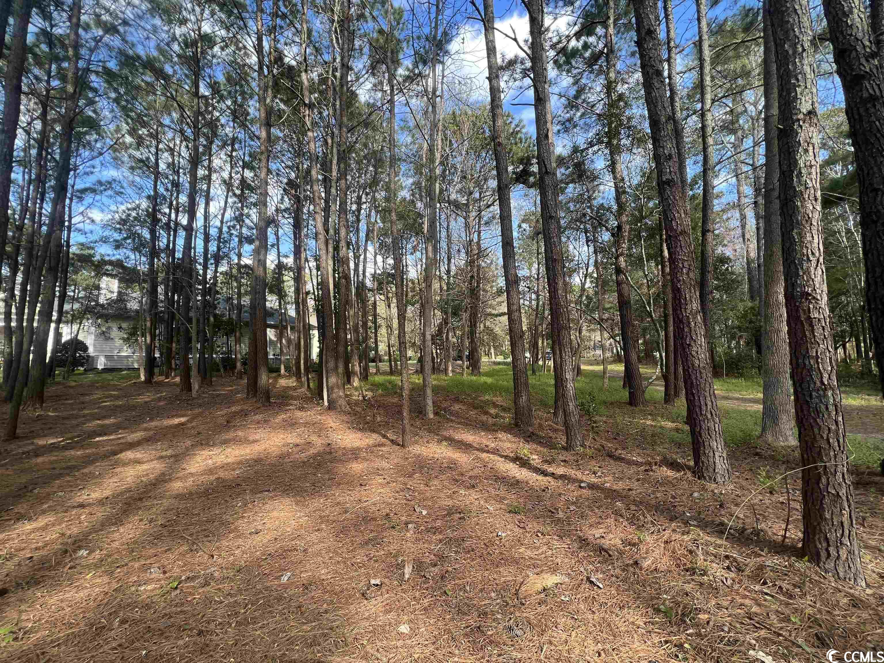 949 Morrall Dr. North Myrtle Beach, SC 29582