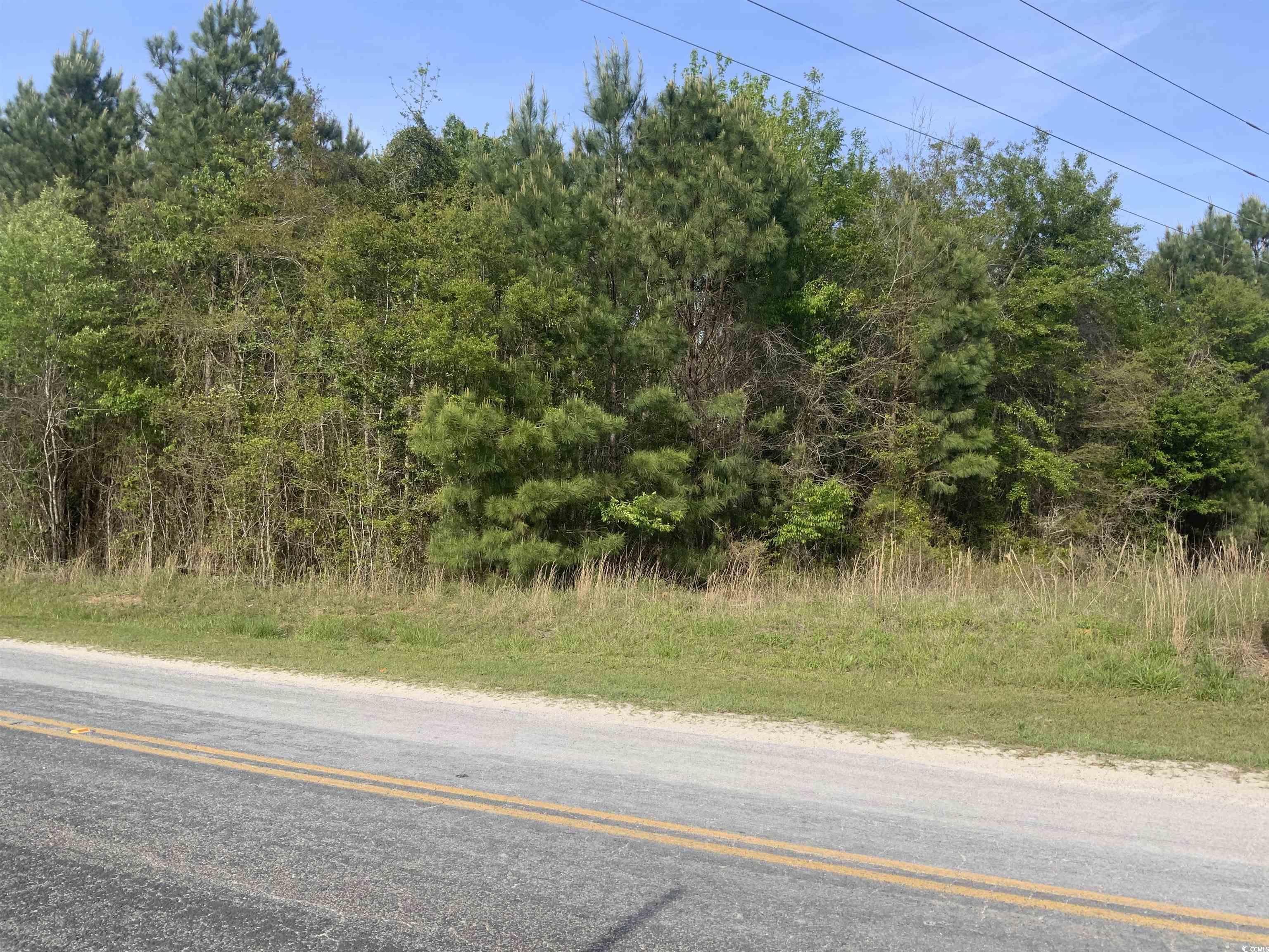 TBD Mcneil Chapel Rd., Loris, South Carolina image 1