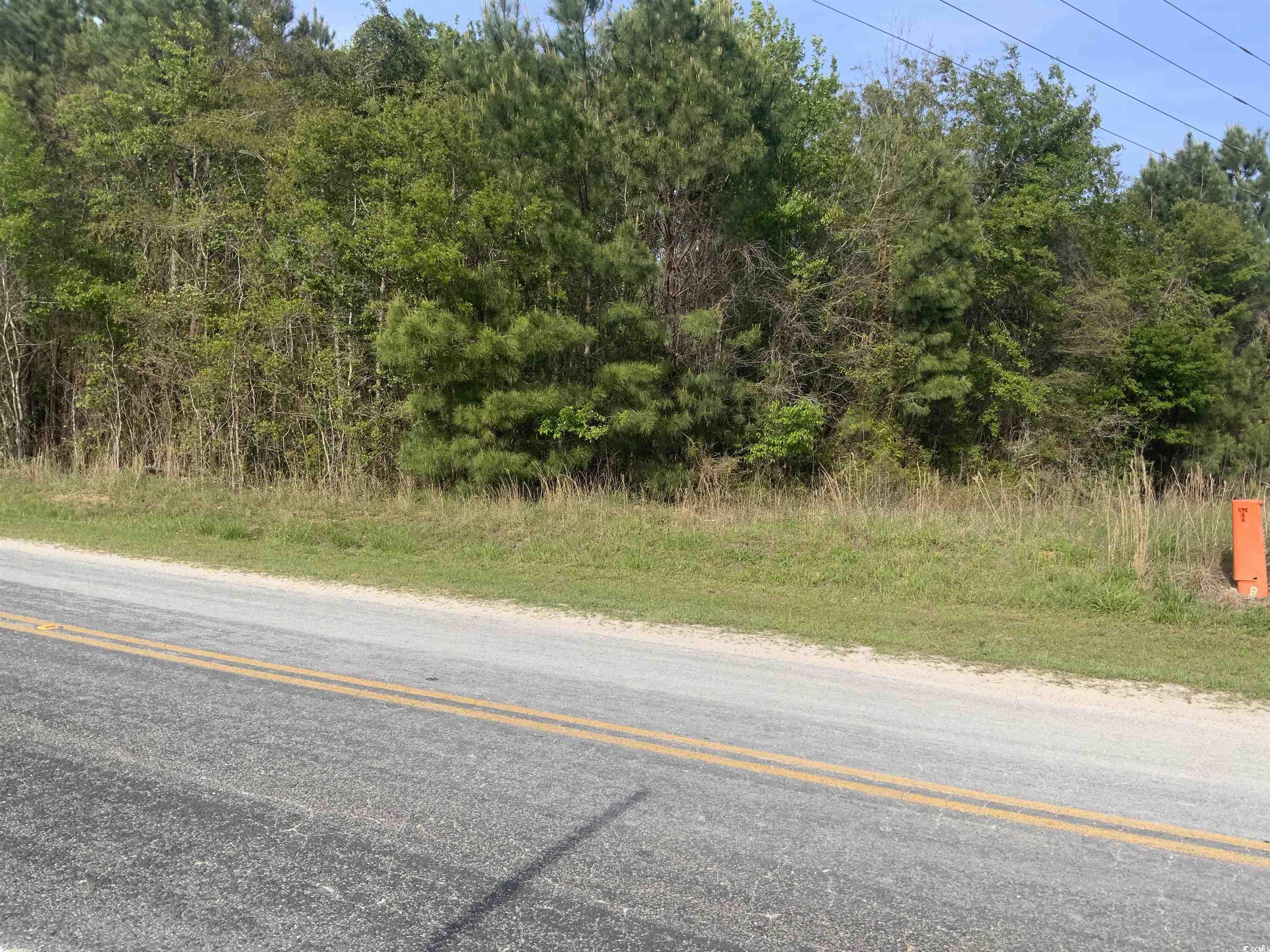 TBD Mcneil Chapel Rd., Loris, South Carolina image 4