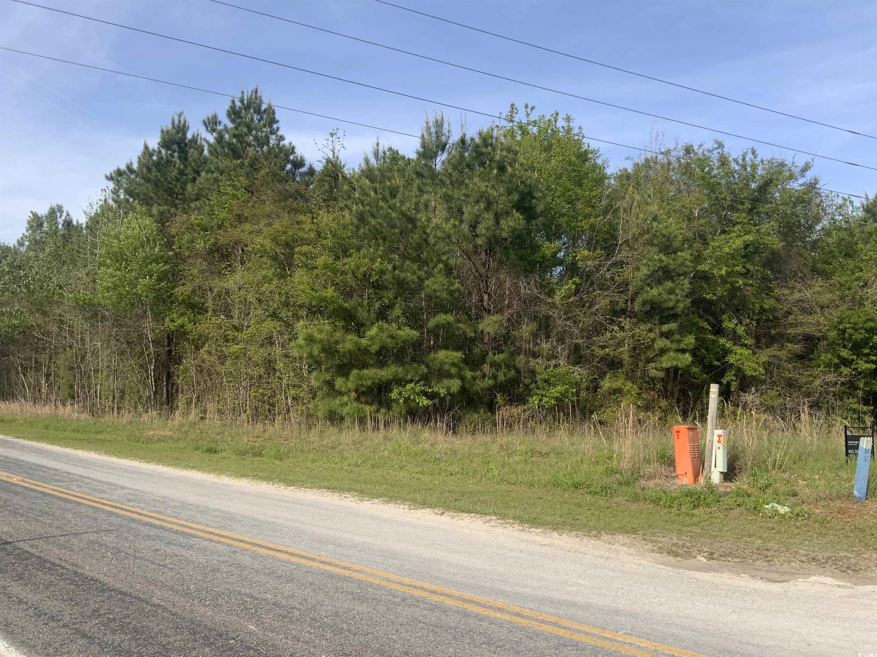TBD Mcneil Chapel Rd., Loris, South Carolina image 6