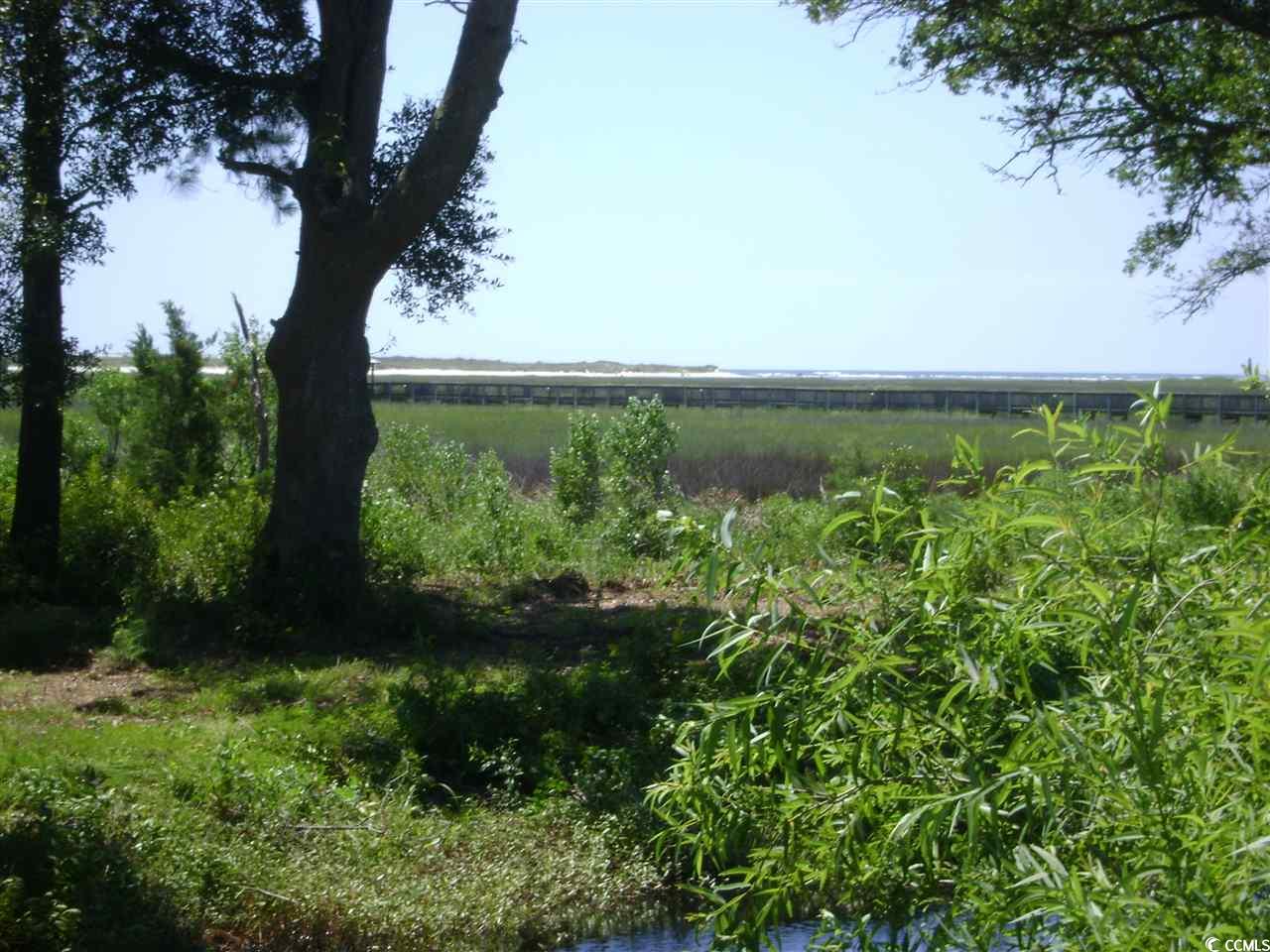 104 Enclave Pl. Pawleys Island, SC 29585