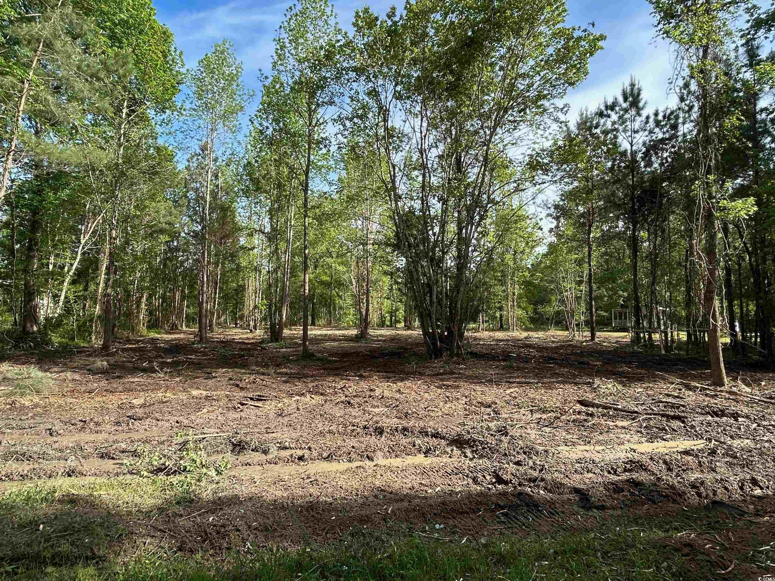 TBD Locust Tree Ct., Gresham, South Carolina image 1