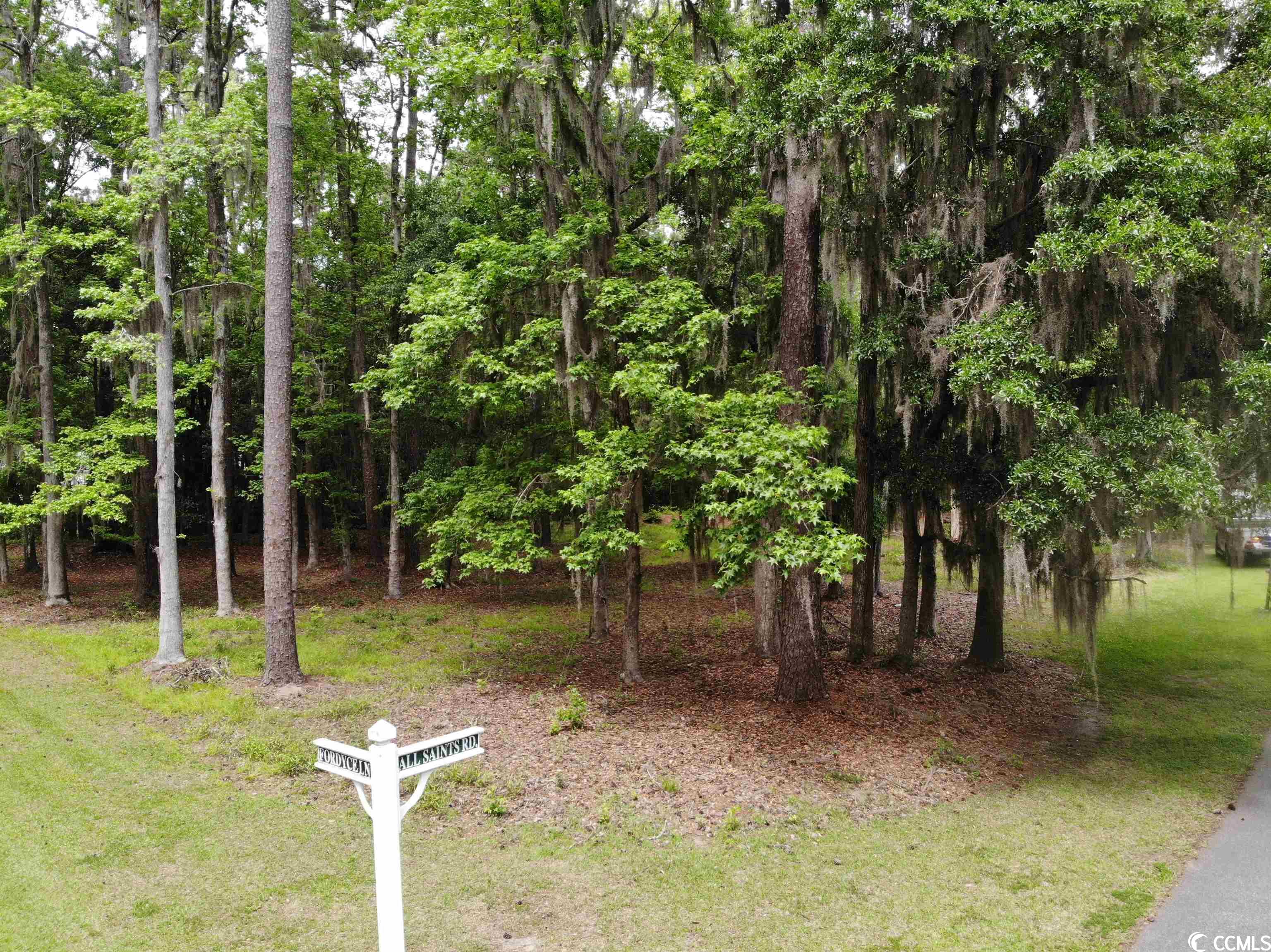 TBD All Saints Loop Pawleys Island, SC 29585
