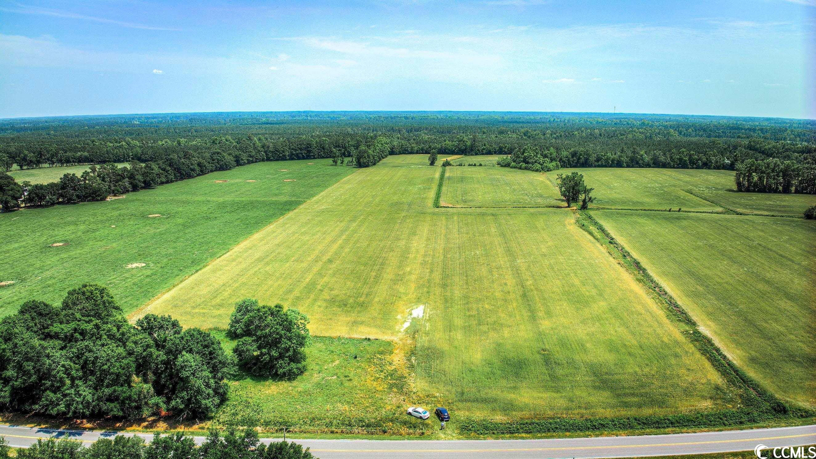 TBD Pee Dee Rd. N, Galivants Ferry, South Carolina image 1