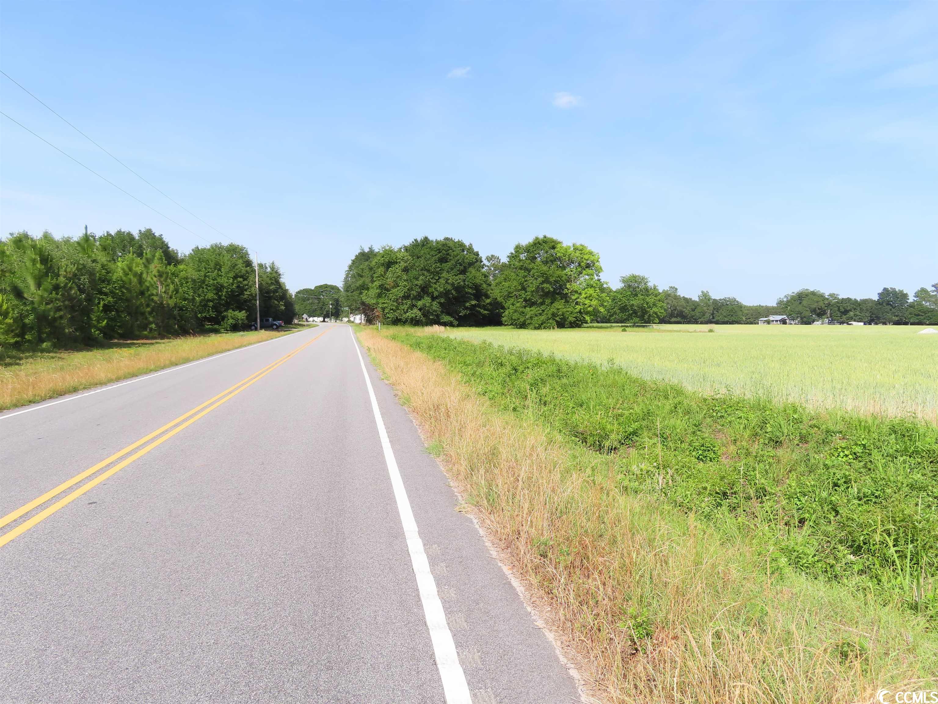 TBD Pee Dee Rd. N, Galivants Ferry, South Carolina image 12