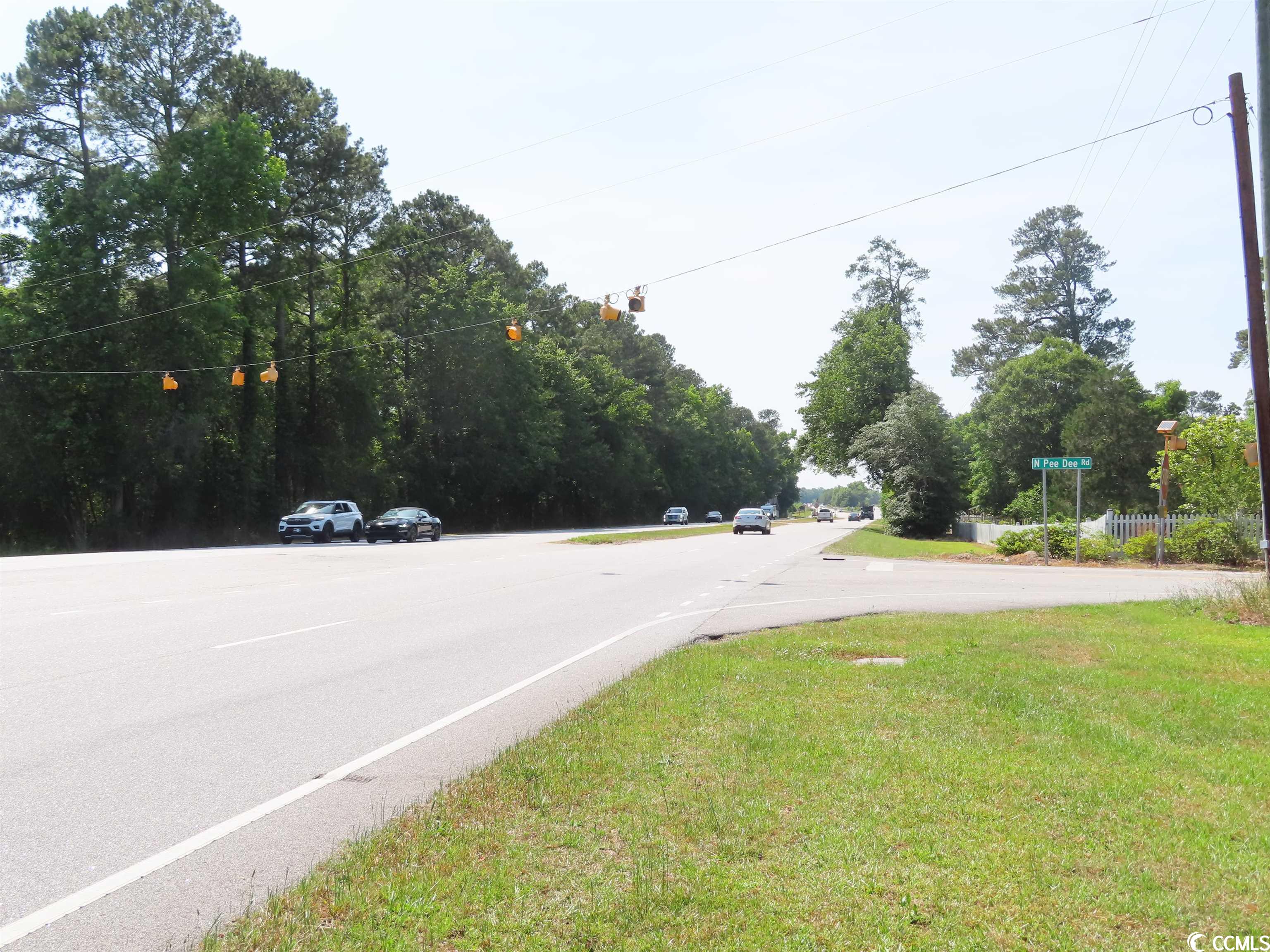 TBD Pee Dee Rd. N, Galivants Ferry, South Carolina image 19