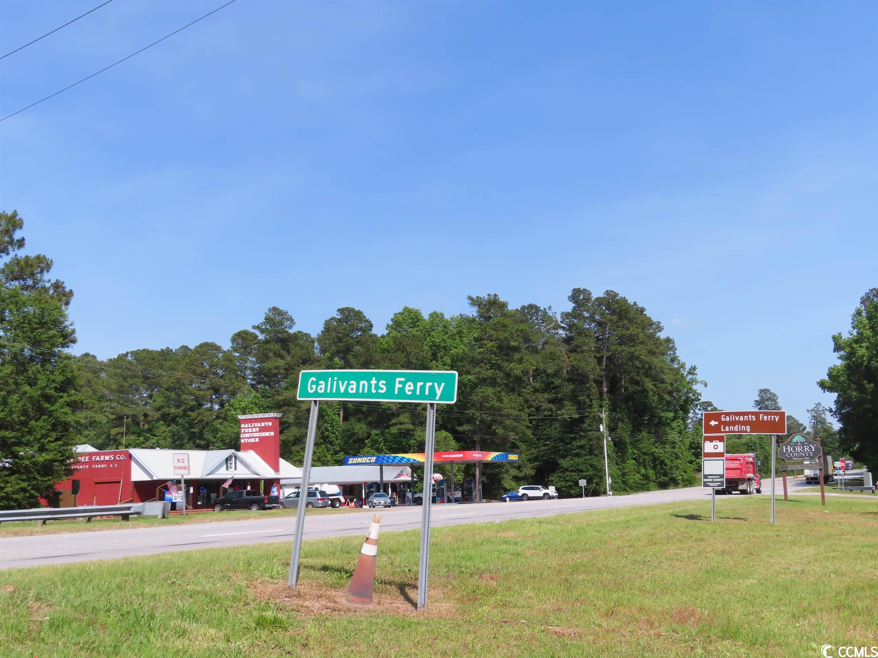 TBD Pee Dee Rd. N, Galivants Ferry, South Carolina image 20