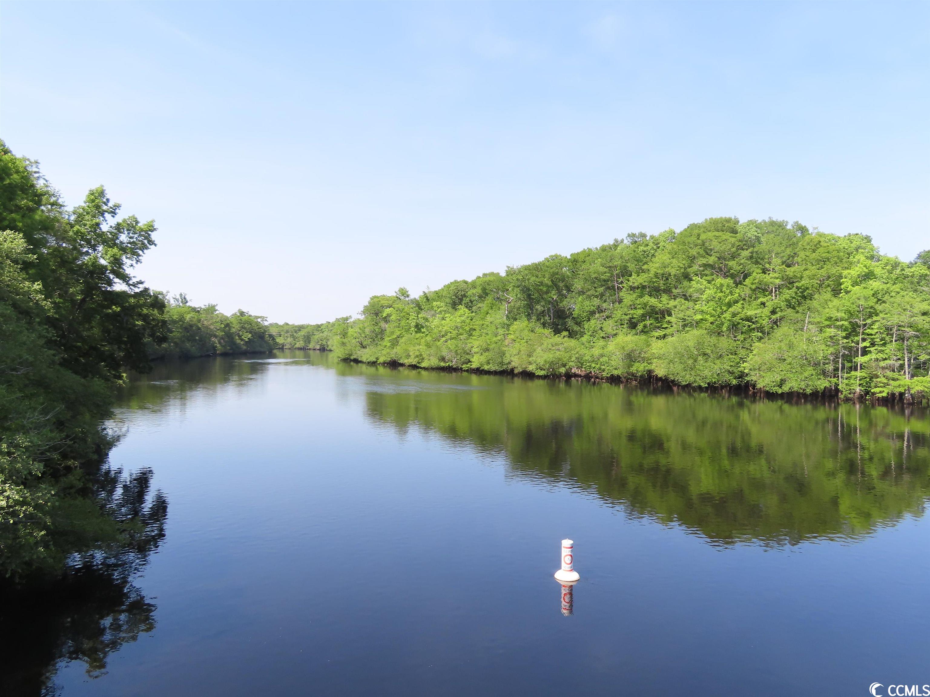 TBD Pee Dee Rd. N, Galivants Ferry, South Carolina image 21