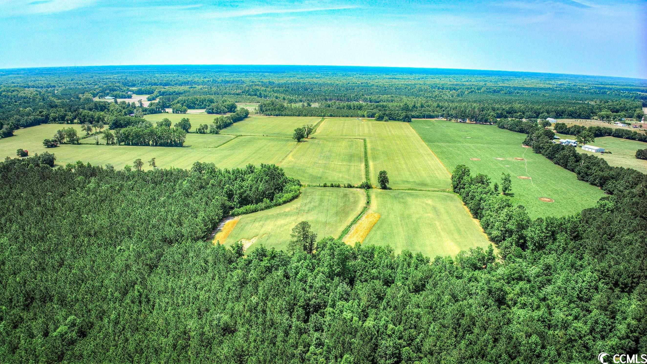 TBD Pee Dee Rd. N, Galivants Ferry, South Carolina image 4