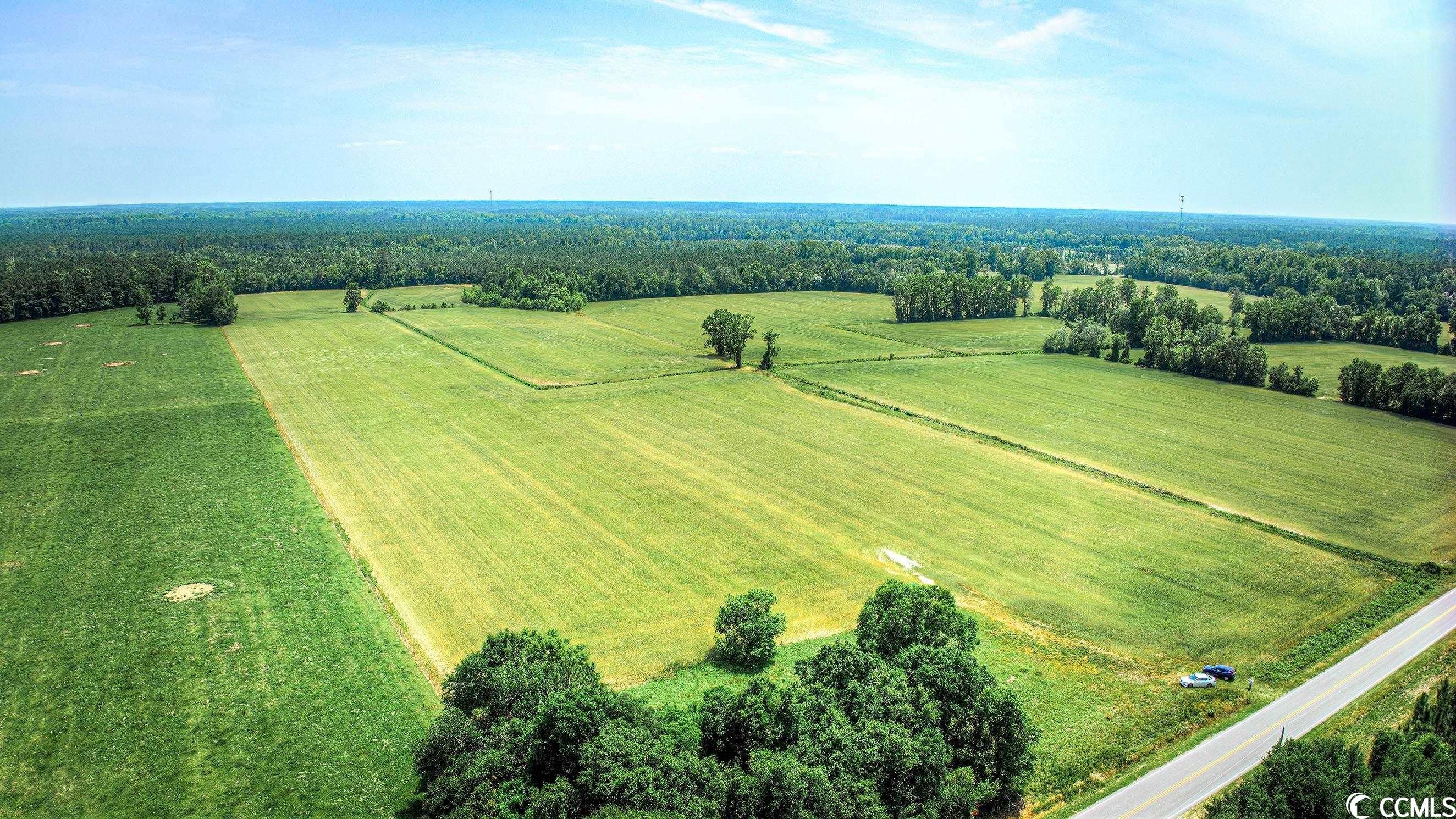 TBD Pee Dee Rd. N, Galivants Ferry, South Carolina image 8