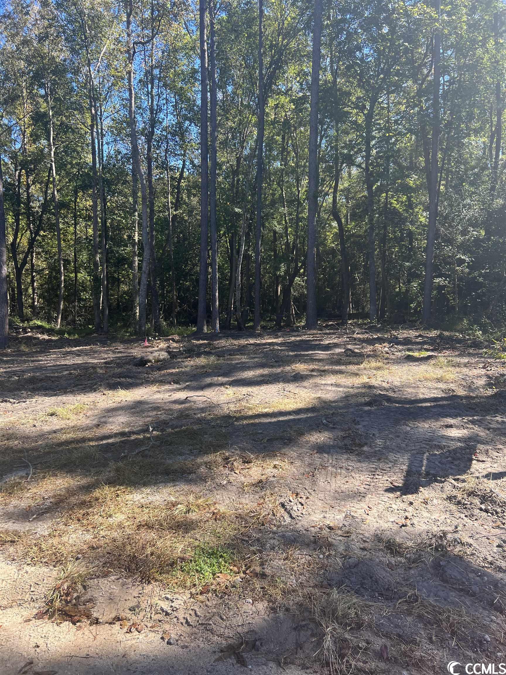 TBD Morgan Ln. Aynor, SC 29511