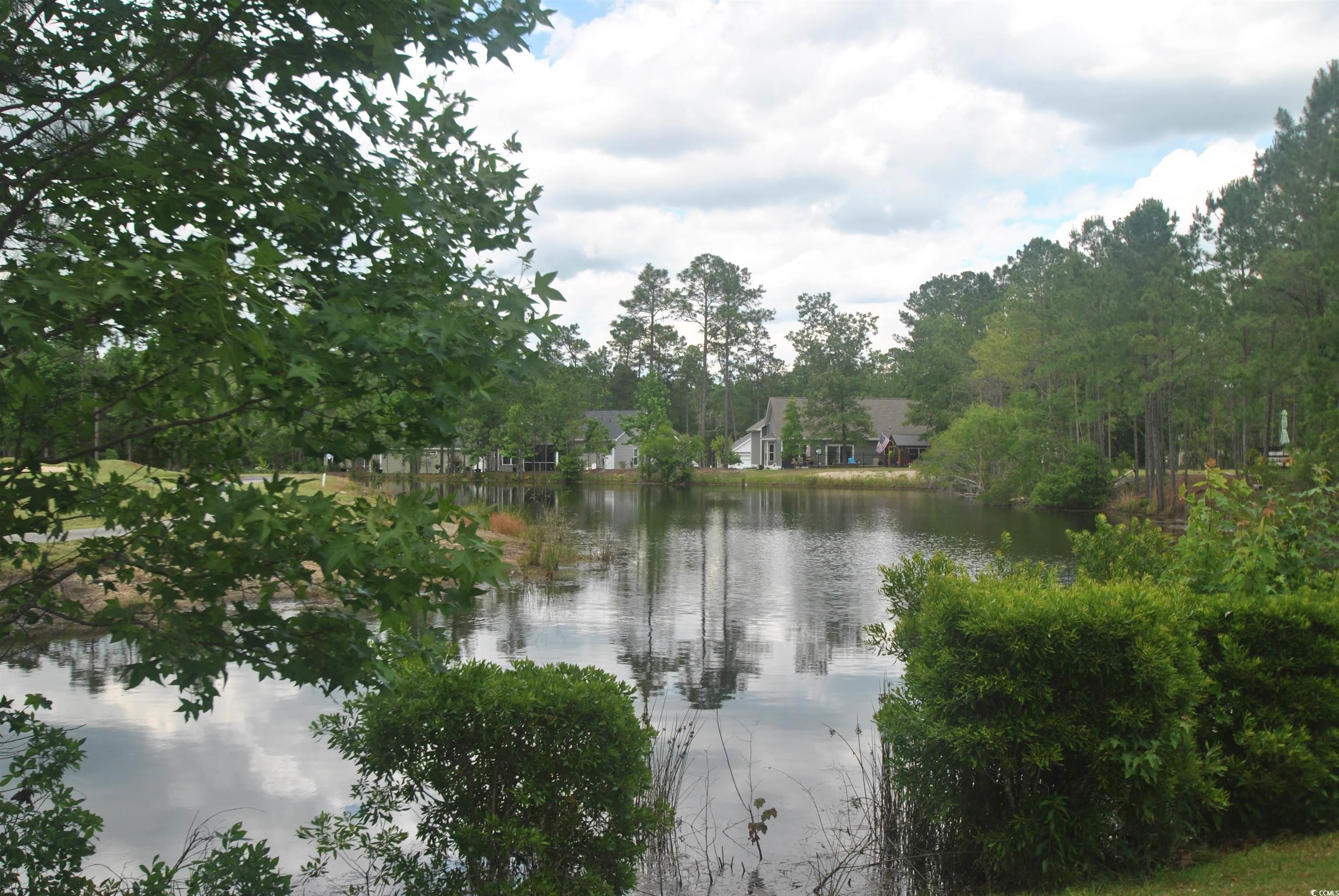 2012 Spring Valley Ct. Loris, SC 29569