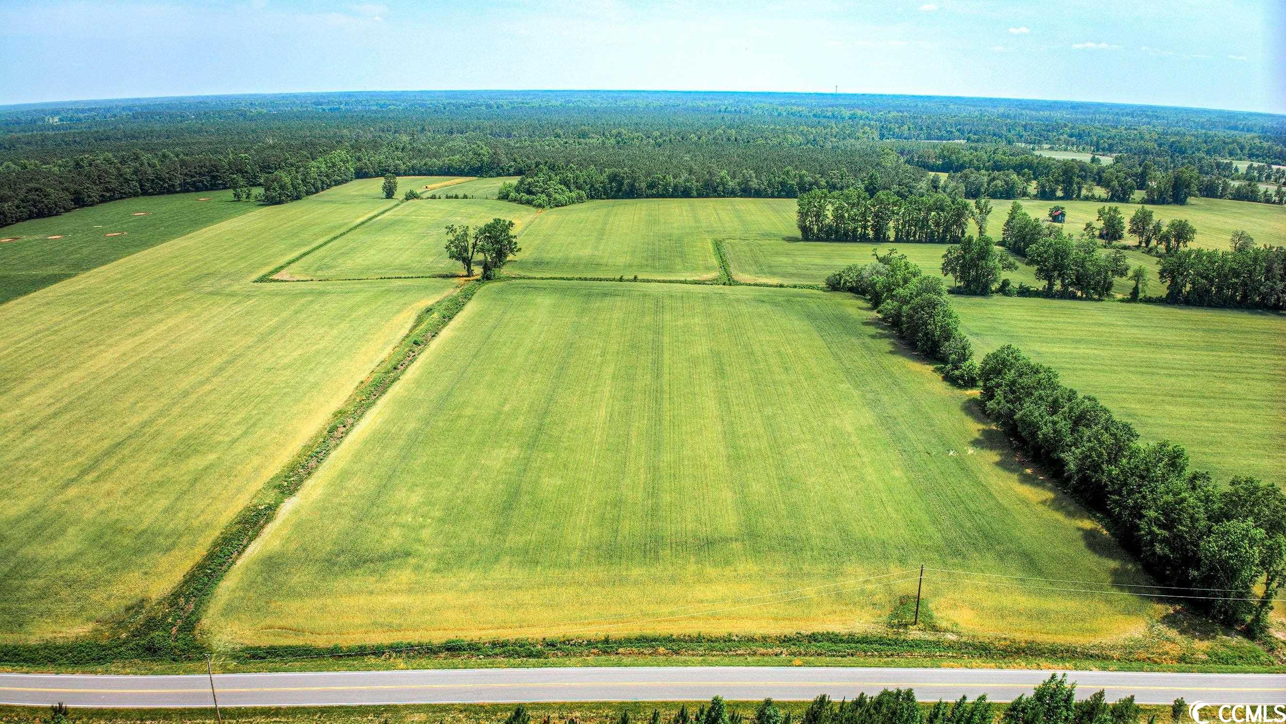 TBD Pee Dee Rd. N, Galivants Ferry, South Carolina image 1