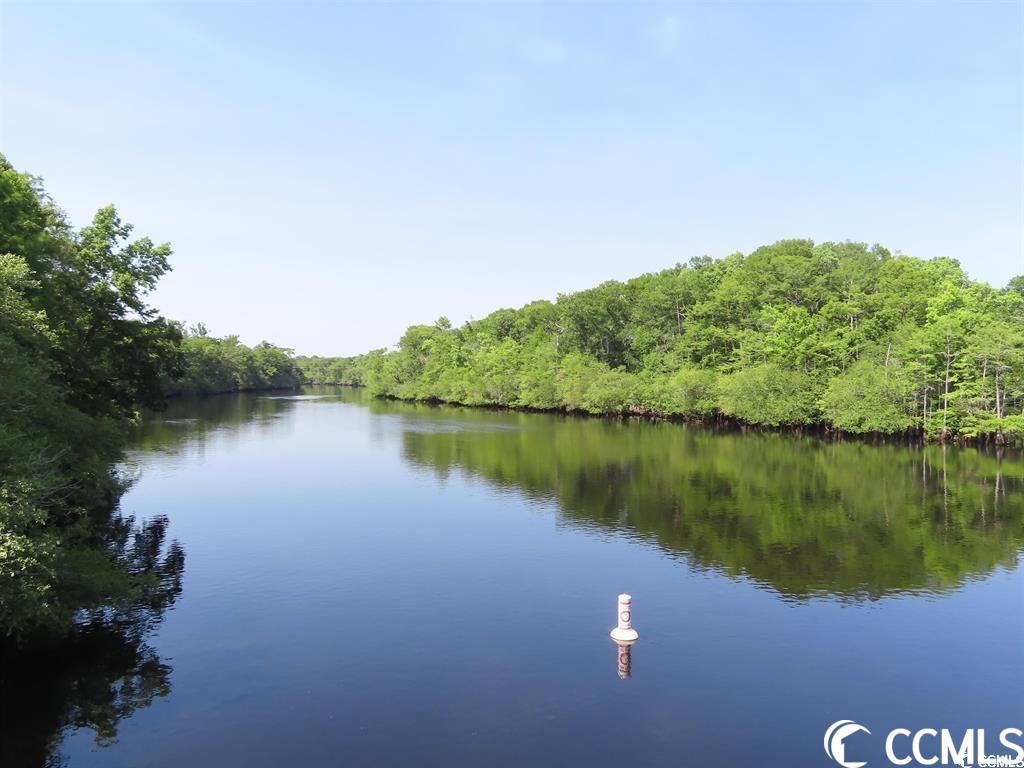 TBD Pee Dee Rd. N, Galivants Ferry, South Carolina image 12