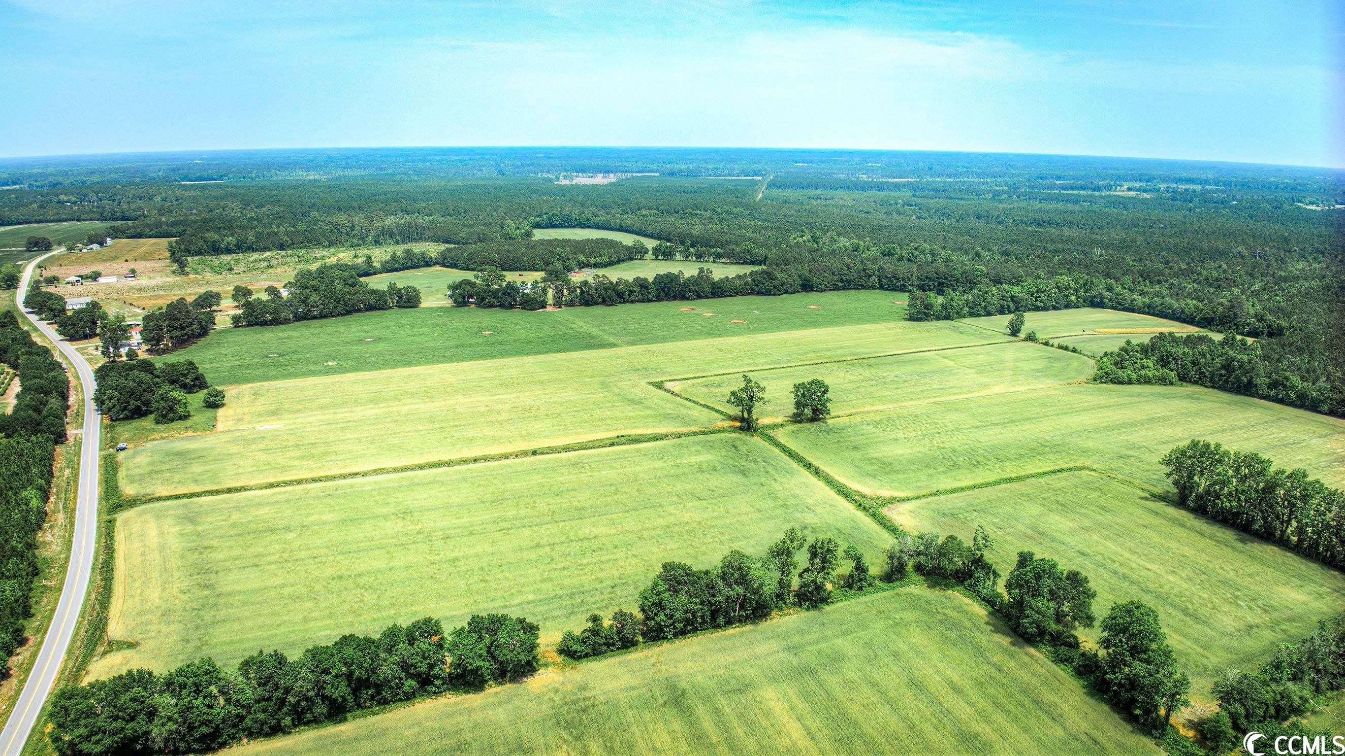 TBD Pee Dee Rd. N, Galivants Ferry, South Carolina image 4