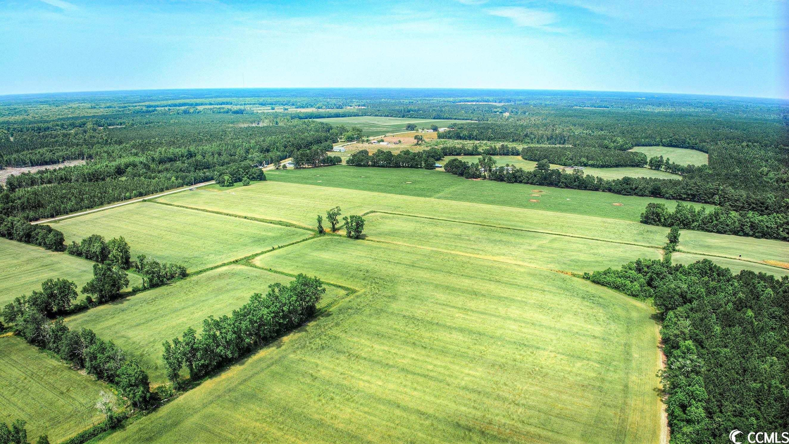 TBD Pee Dee Rd. N, Galivants Ferry, South Carolina image 5