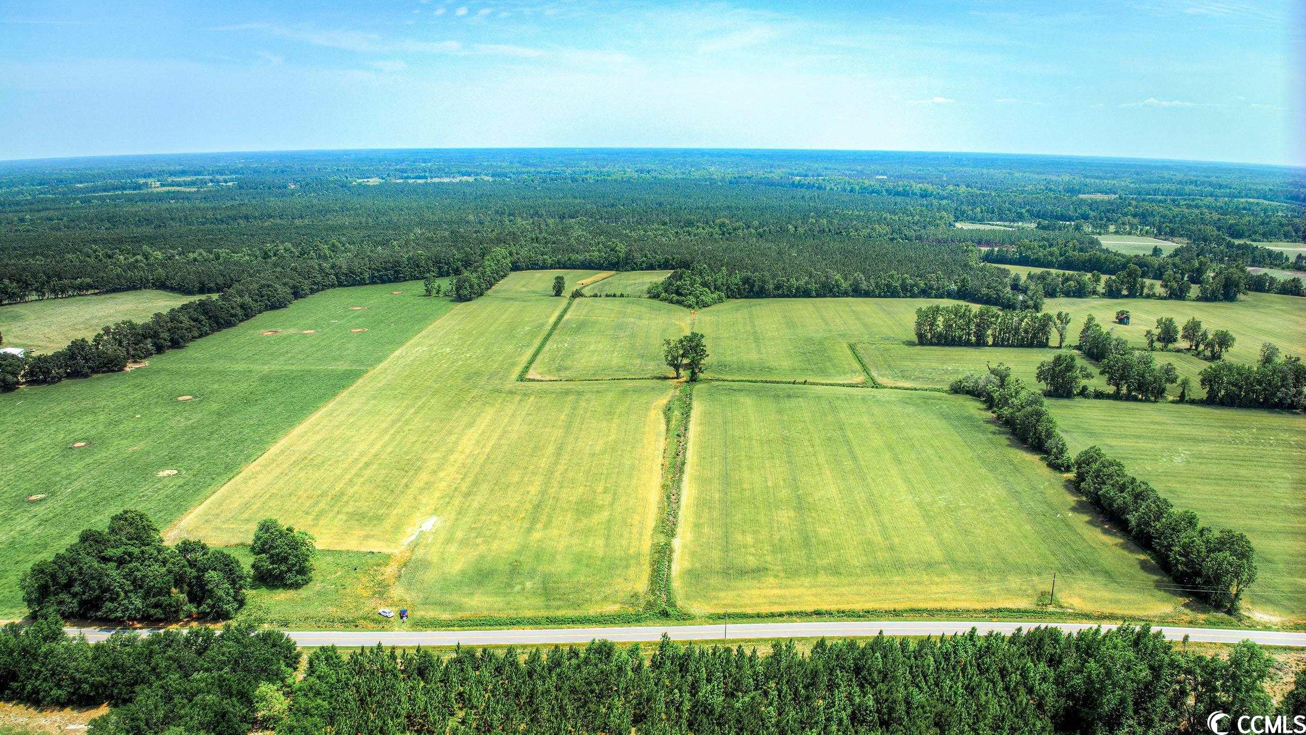 TBD Pee Dee Rd. N, Galivants Ferry, South Carolina image 6