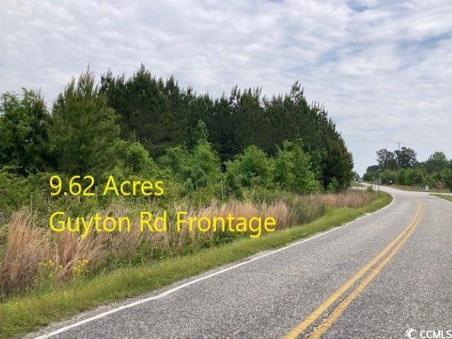 Guyton Rd., Marion, South Carolina image 2