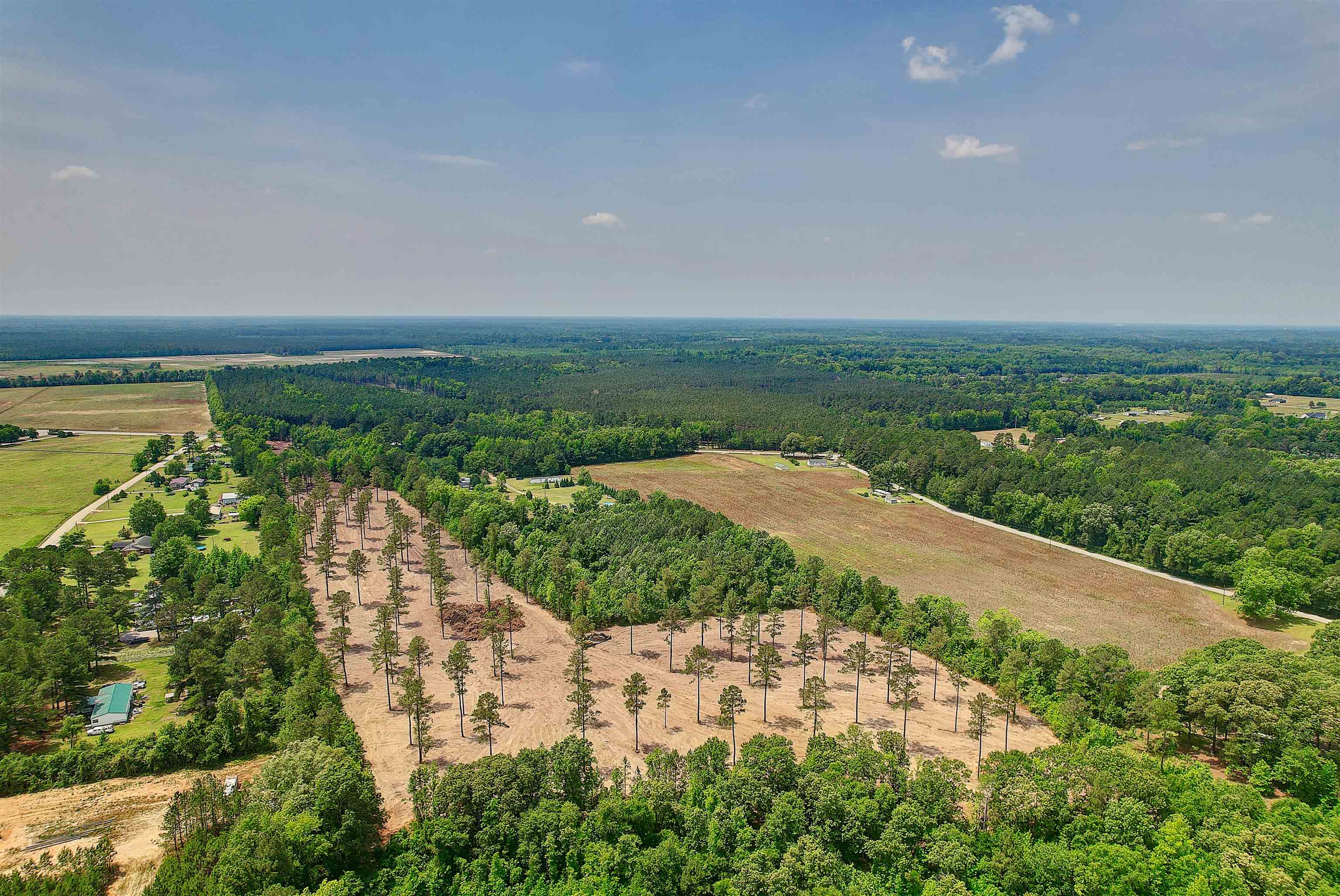 Tbd Old Marion Hwy., Florence, South Carolina image 14