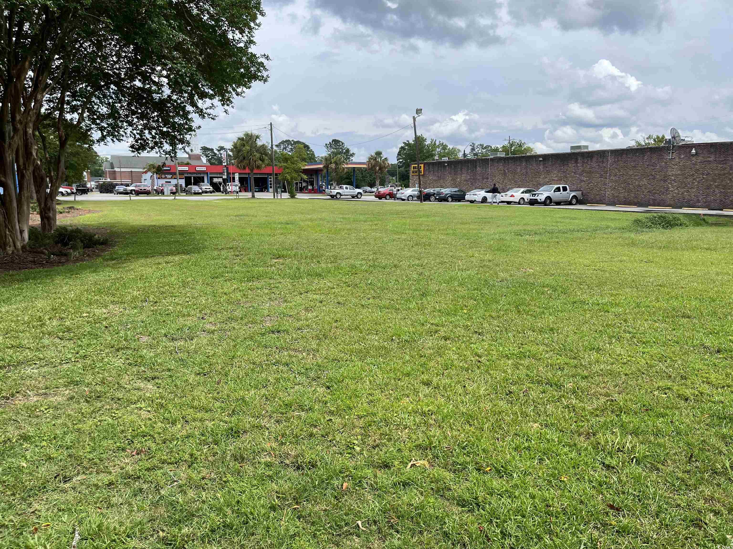 TBD N Main St. Hemingway, SC 29554