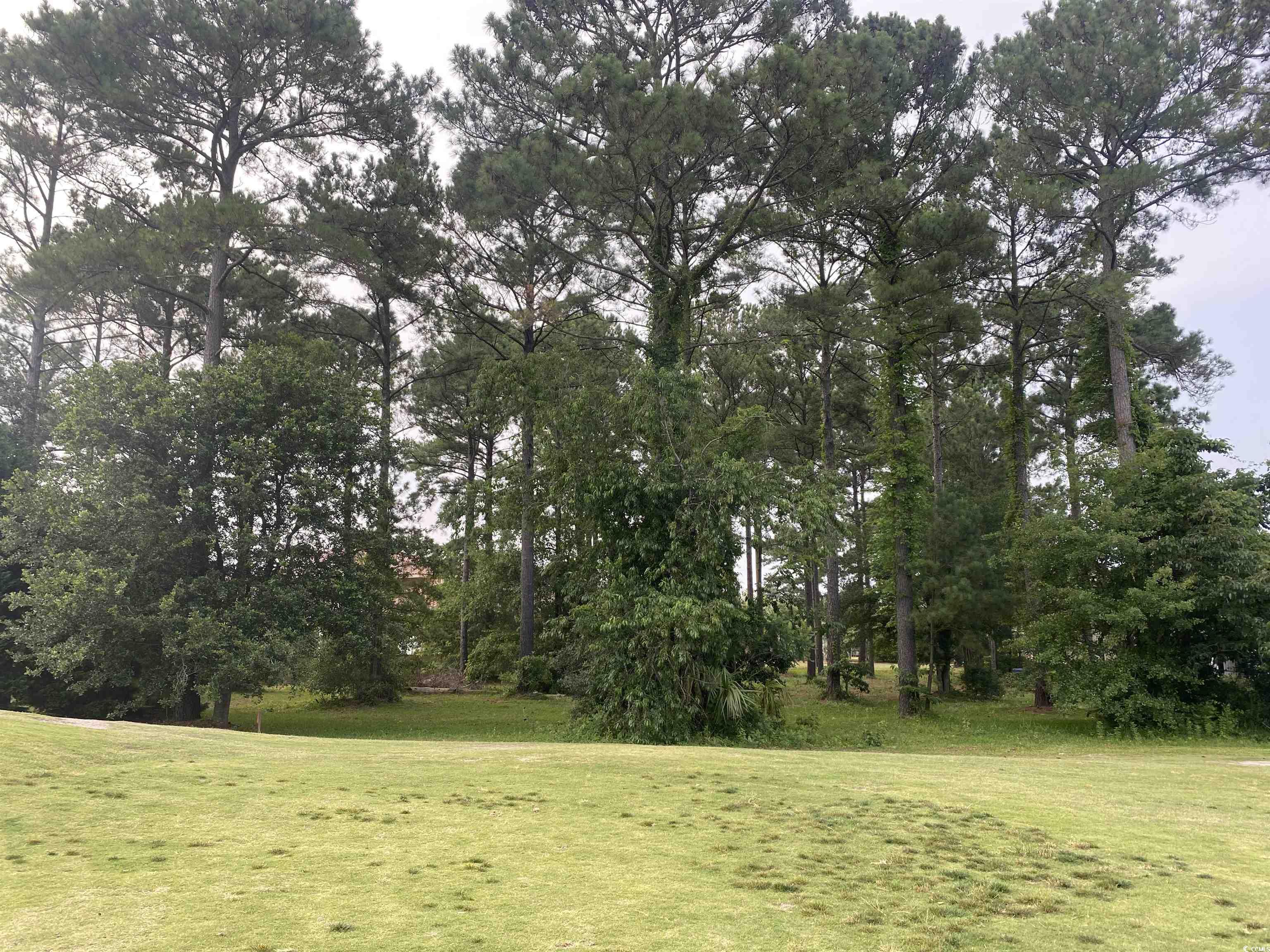 8974 Florantino Ct. Myrtle Beach, SC 29579