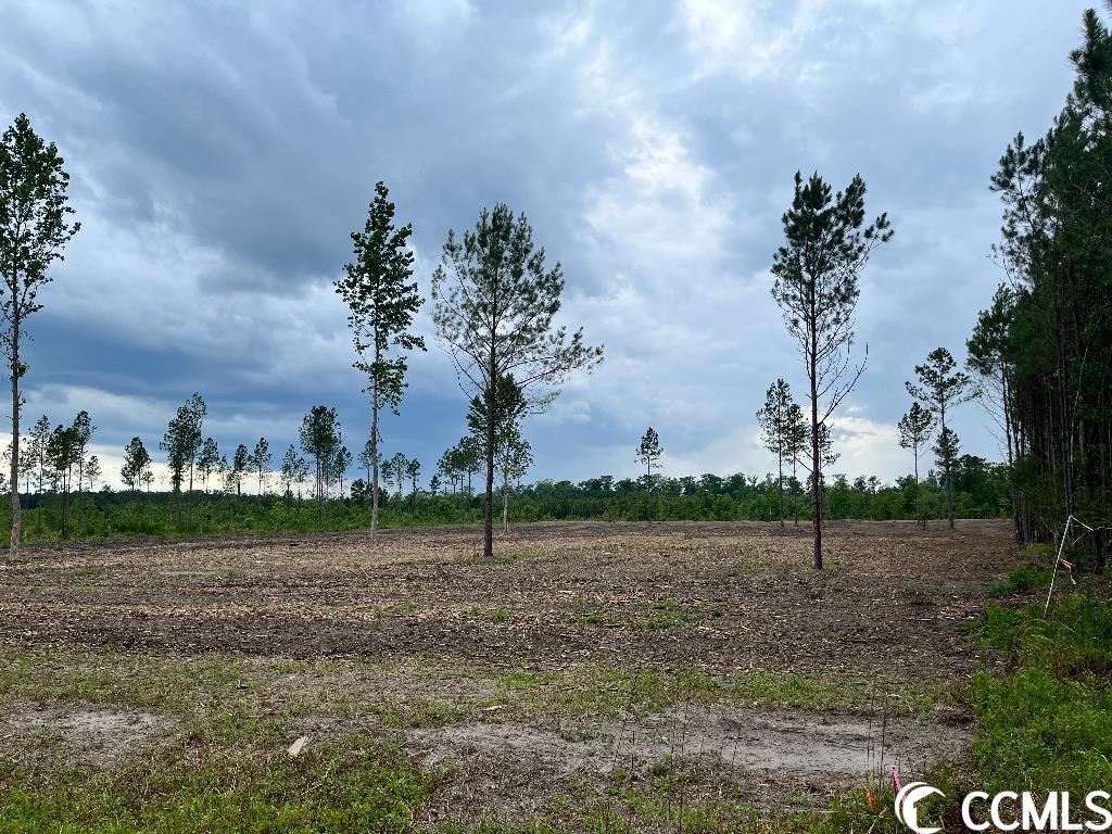 Highway 66 Loris, SC 29569