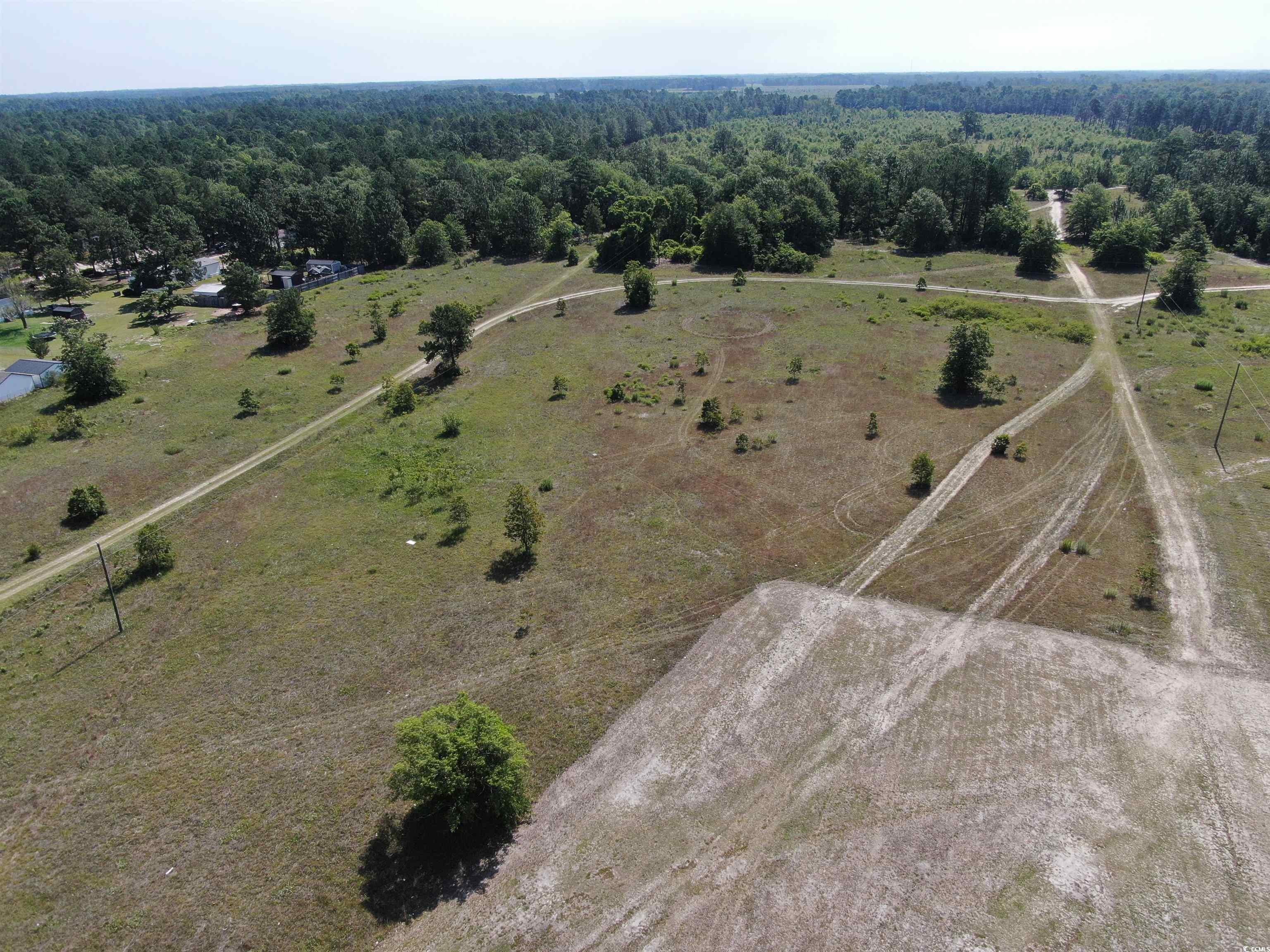 TBD Pee Dee Church Rd., Dillon, South Carolina image 4