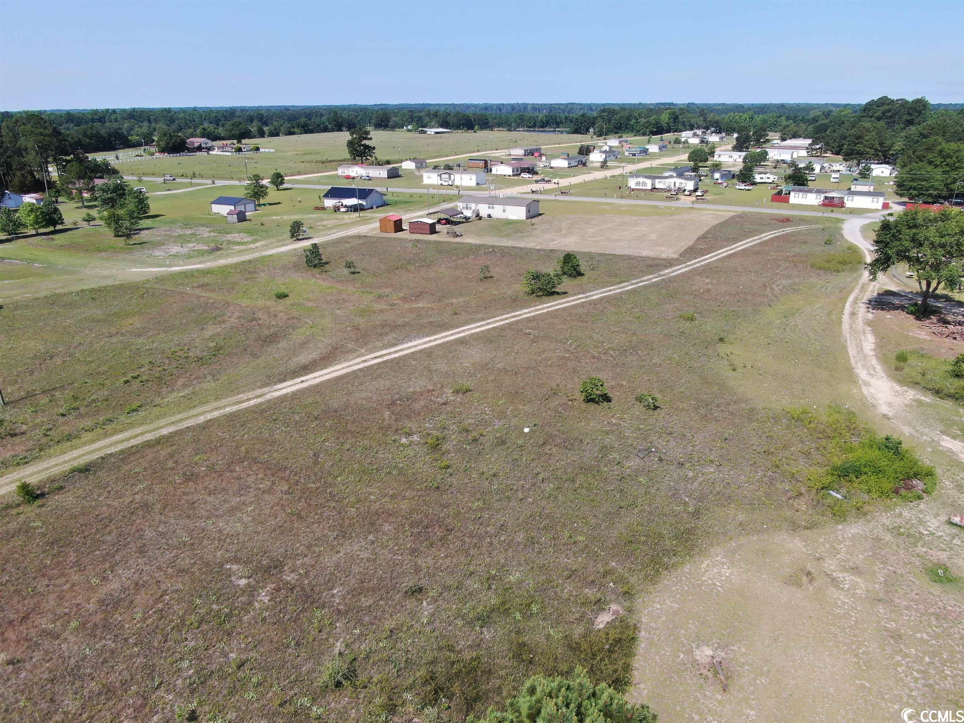 TBD Pee Dee Church Rd., Dillon, South Carolina image 7