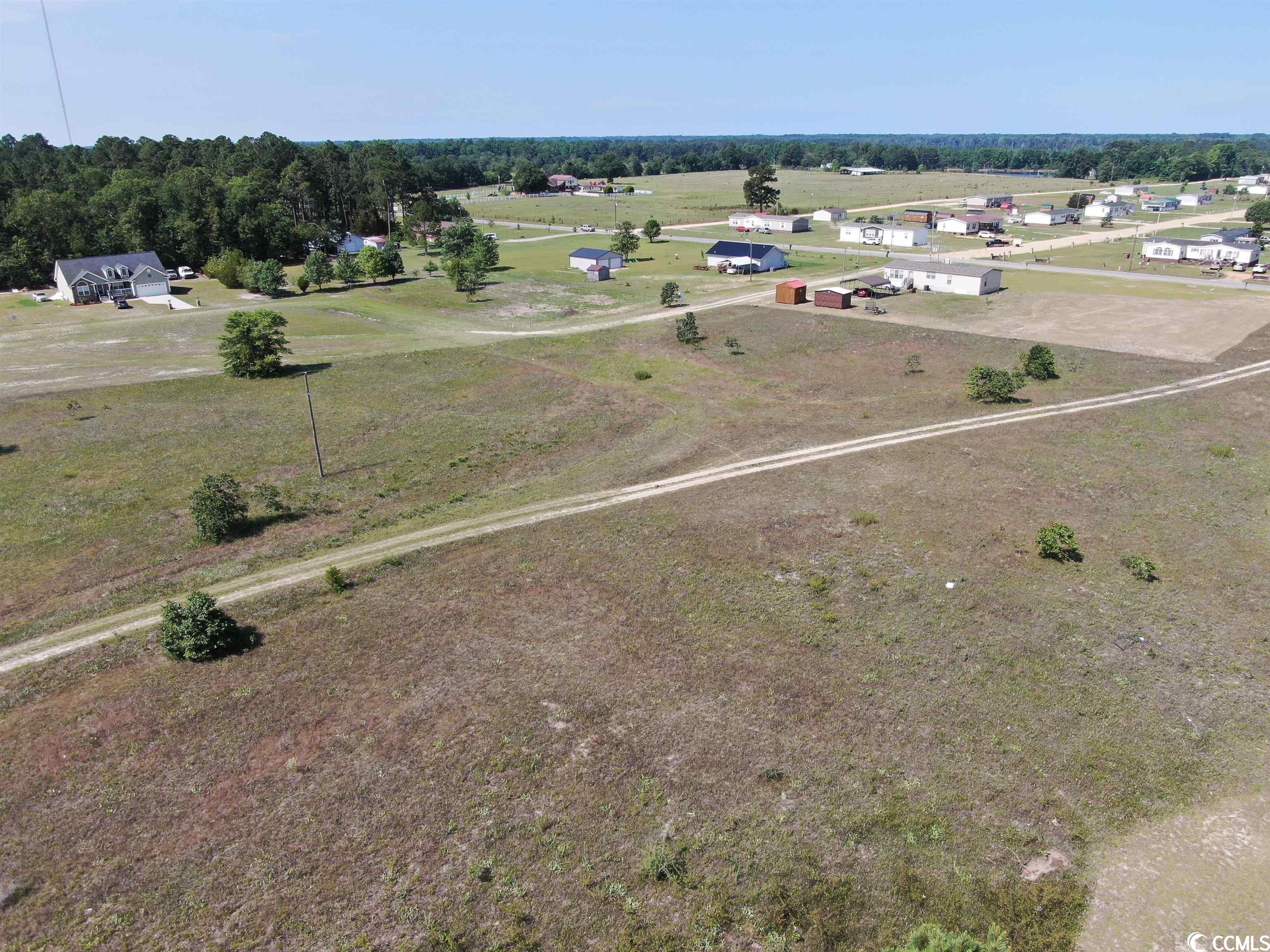 TBD Pee Dee Church Rd., Dillon, South Carolina image 8