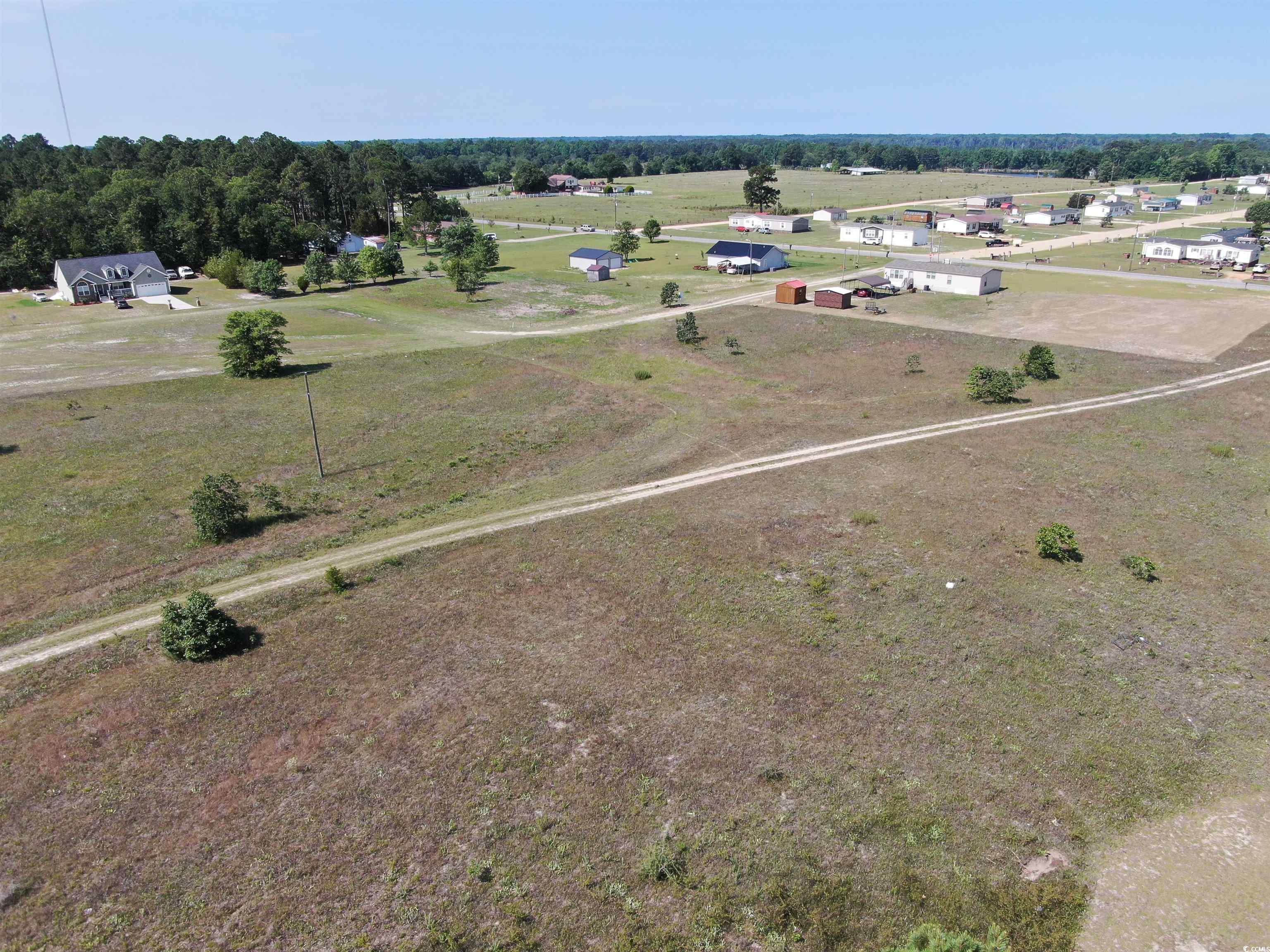 TBD Pee Dee Church Rd., Dillon, South Carolina image 8