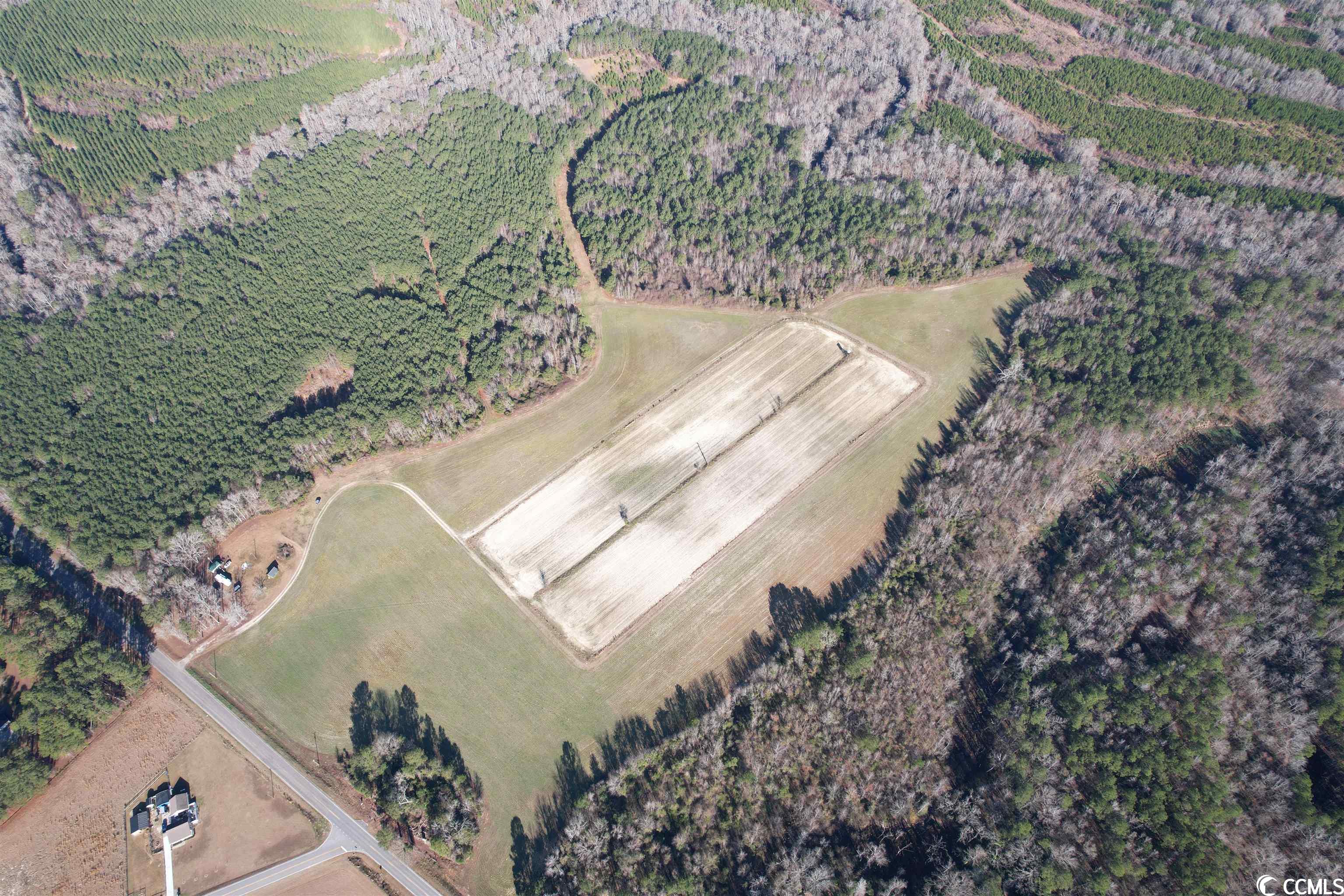 821 Lake City Hwy., Johnsonville, South Carolina image 6