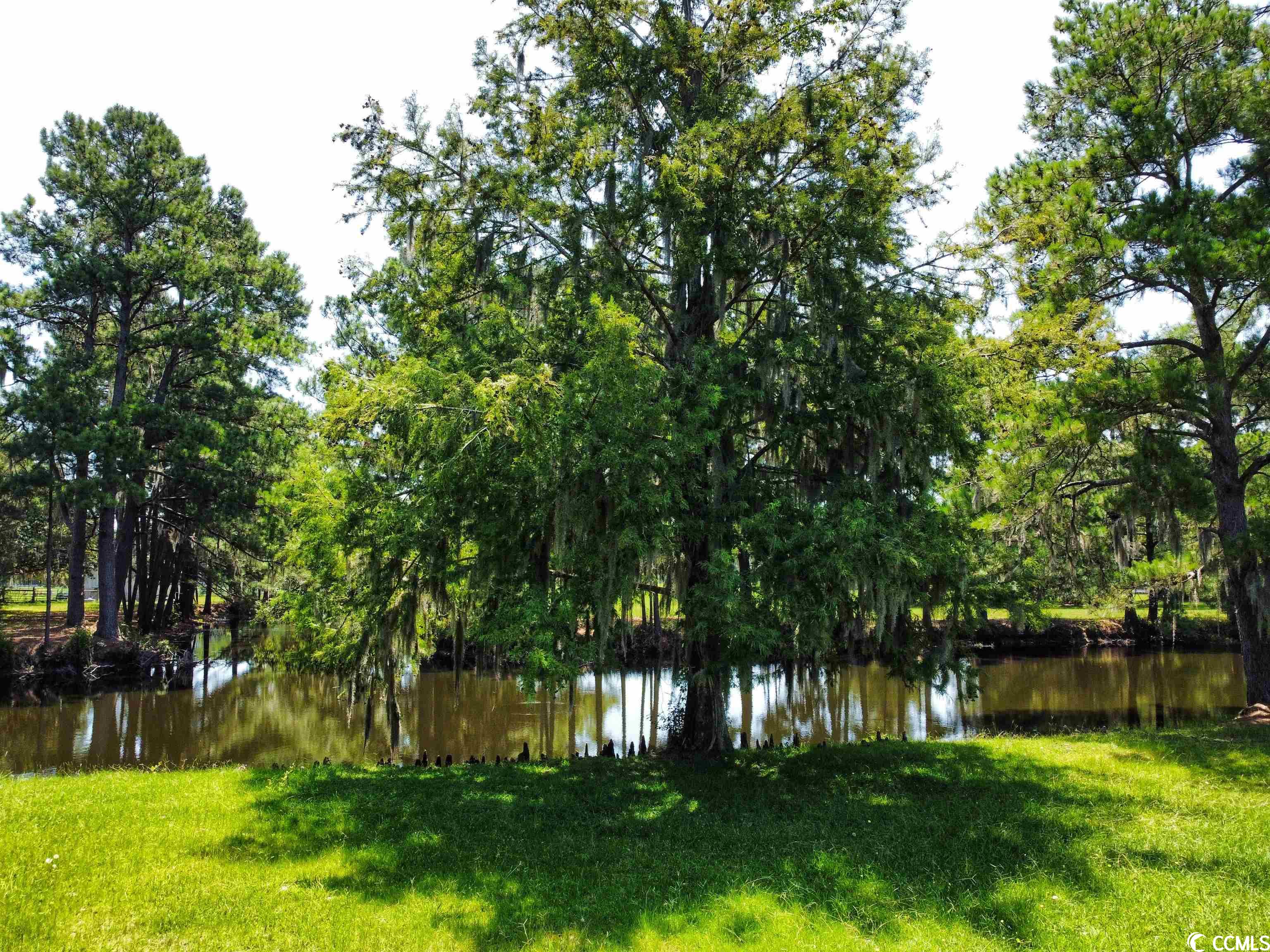 422 Rossdhu Ave., Pawleys Island, South Carolina image 10