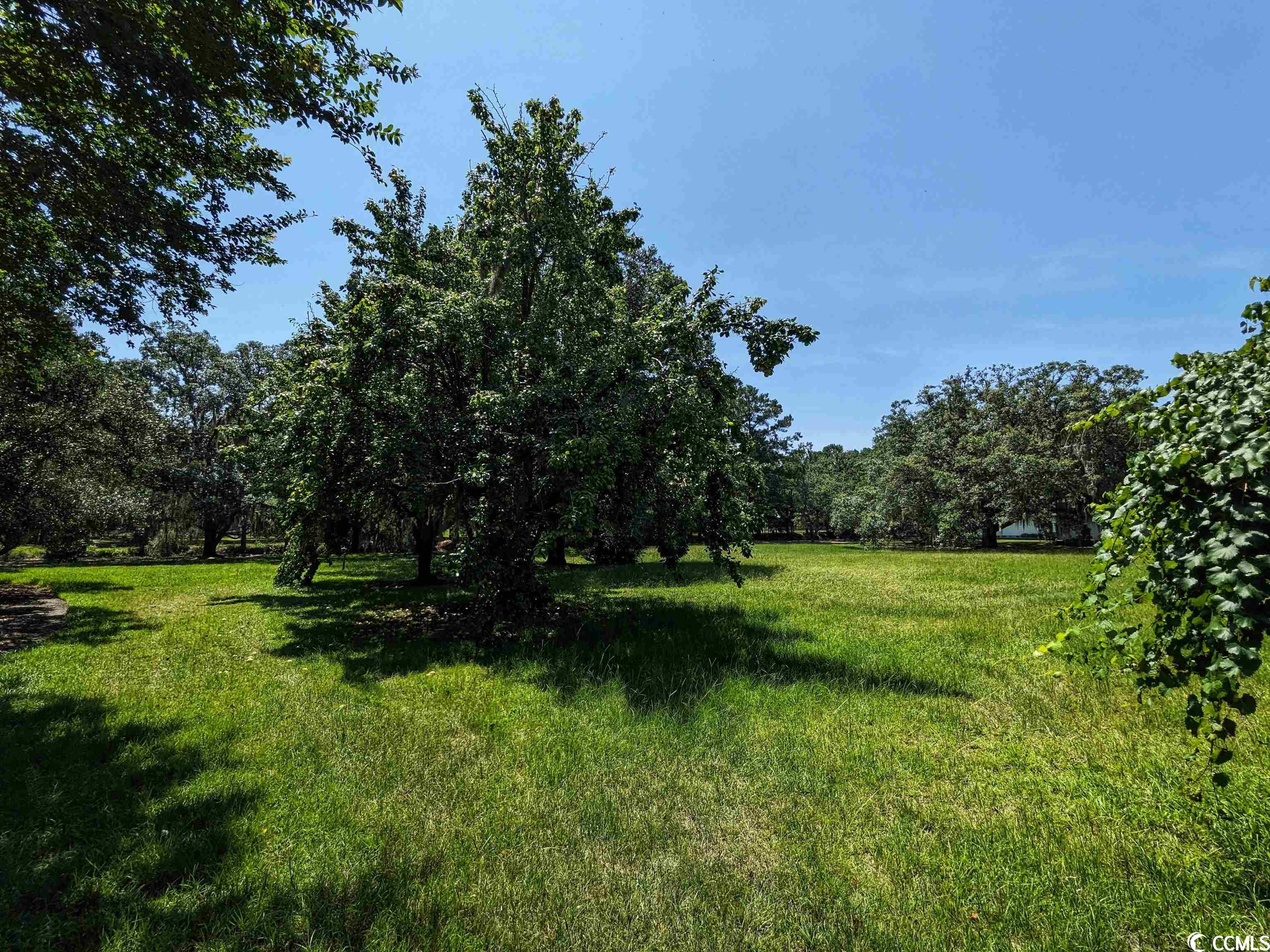 422 Rossdhu Ave., Pawleys Island, South Carolina image 17