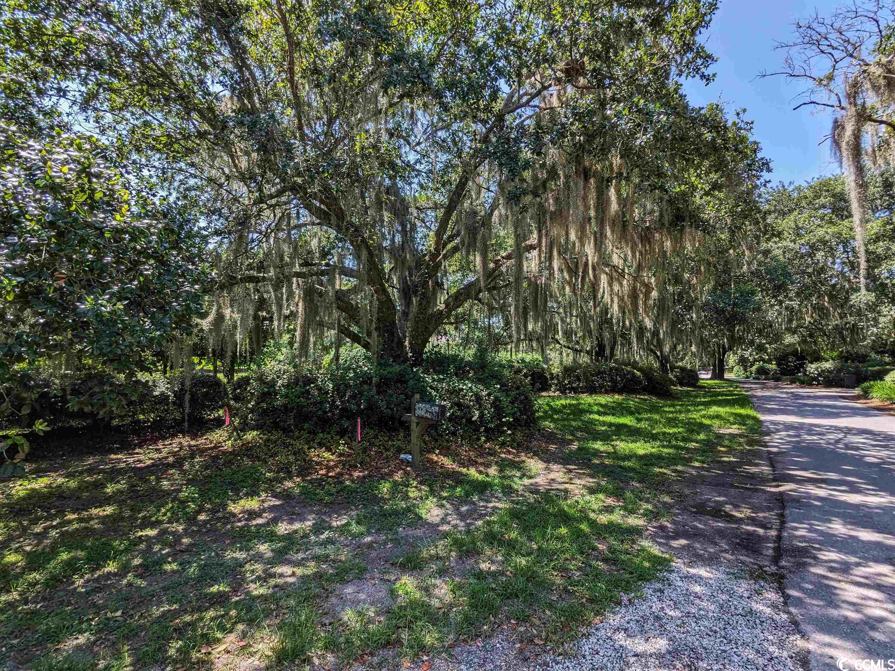 422 Rossdhu Ave., Pawleys Island, South Carolina image 5