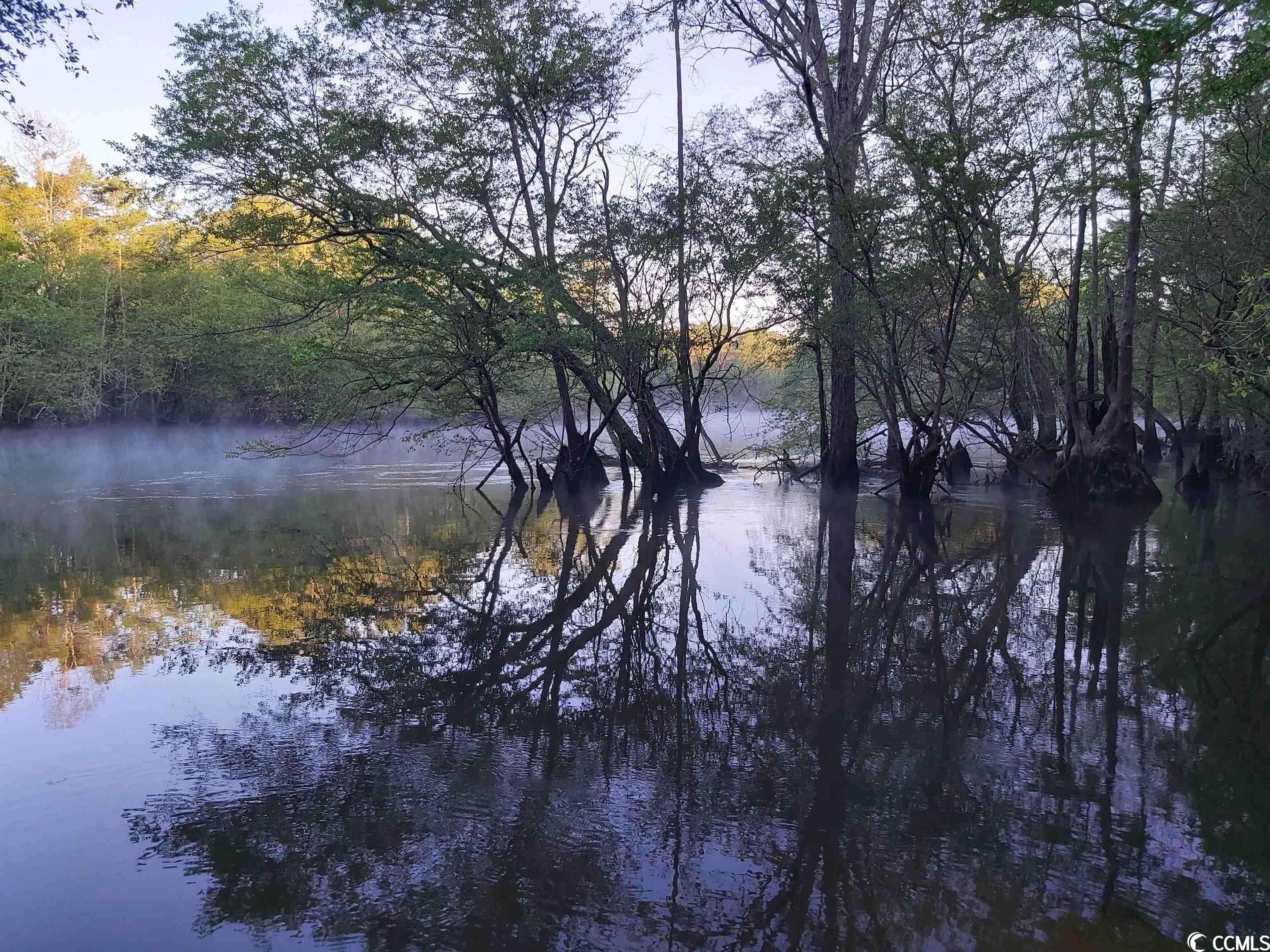 Lot 7 Black Island Rd., Galivants Ferry, South Carolina image 4