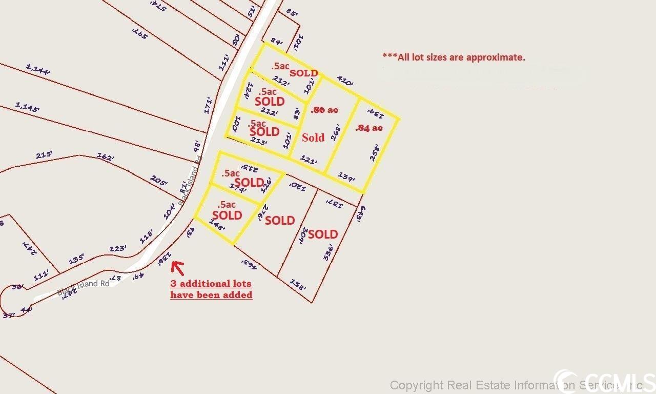 Lot 7 Black Island Rd., Galivants Ferry, South Carolina image 7